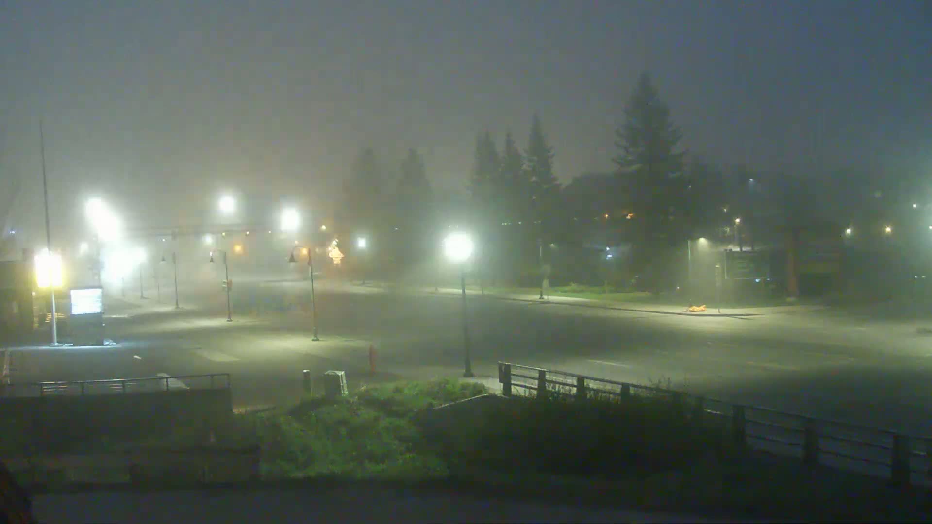 A foggy night scene shows a mostly empty street lined with streetlights and trees.