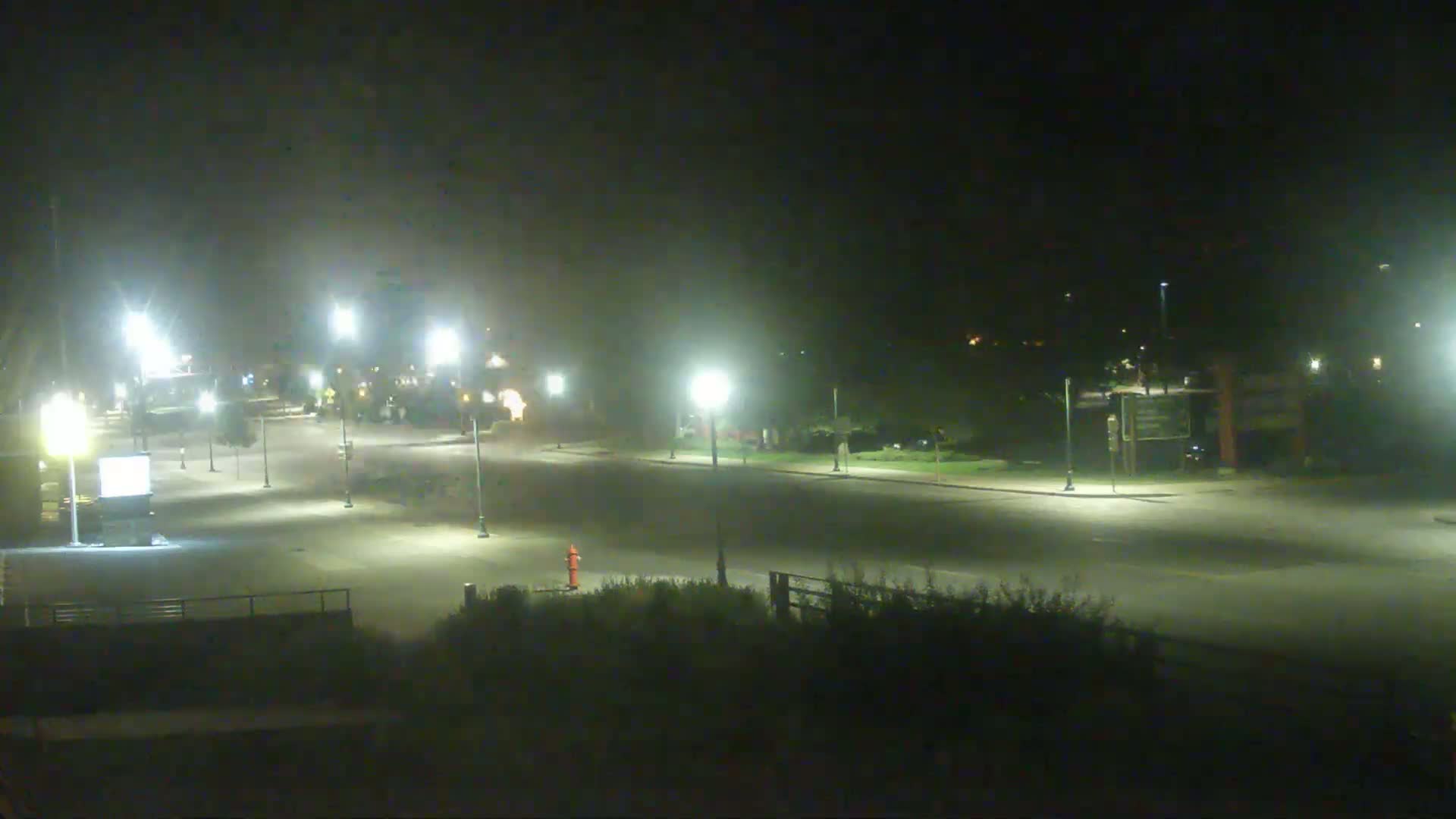 A nighttime view of a mostly empty roadway with streetlights illuminating the asphalt and surrounding sparsely vegetated areas.