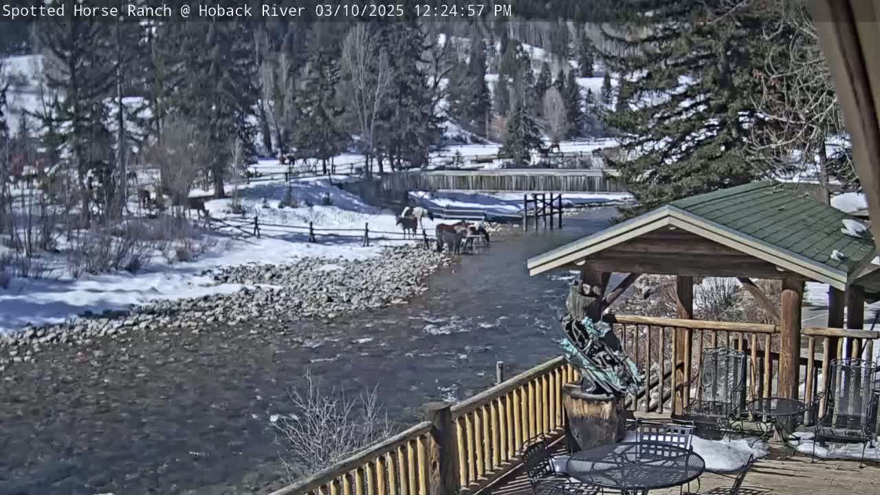 Several horses stand near a snow-covered riverbank on a sunny day, viewed from a wooden deck with a gazebo.