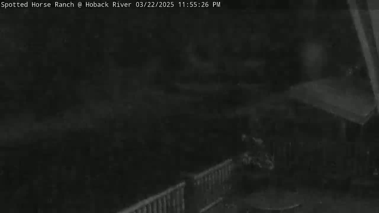 A nighttime, low-light view shows a dark yard with a portion of a deck and railing visible.
