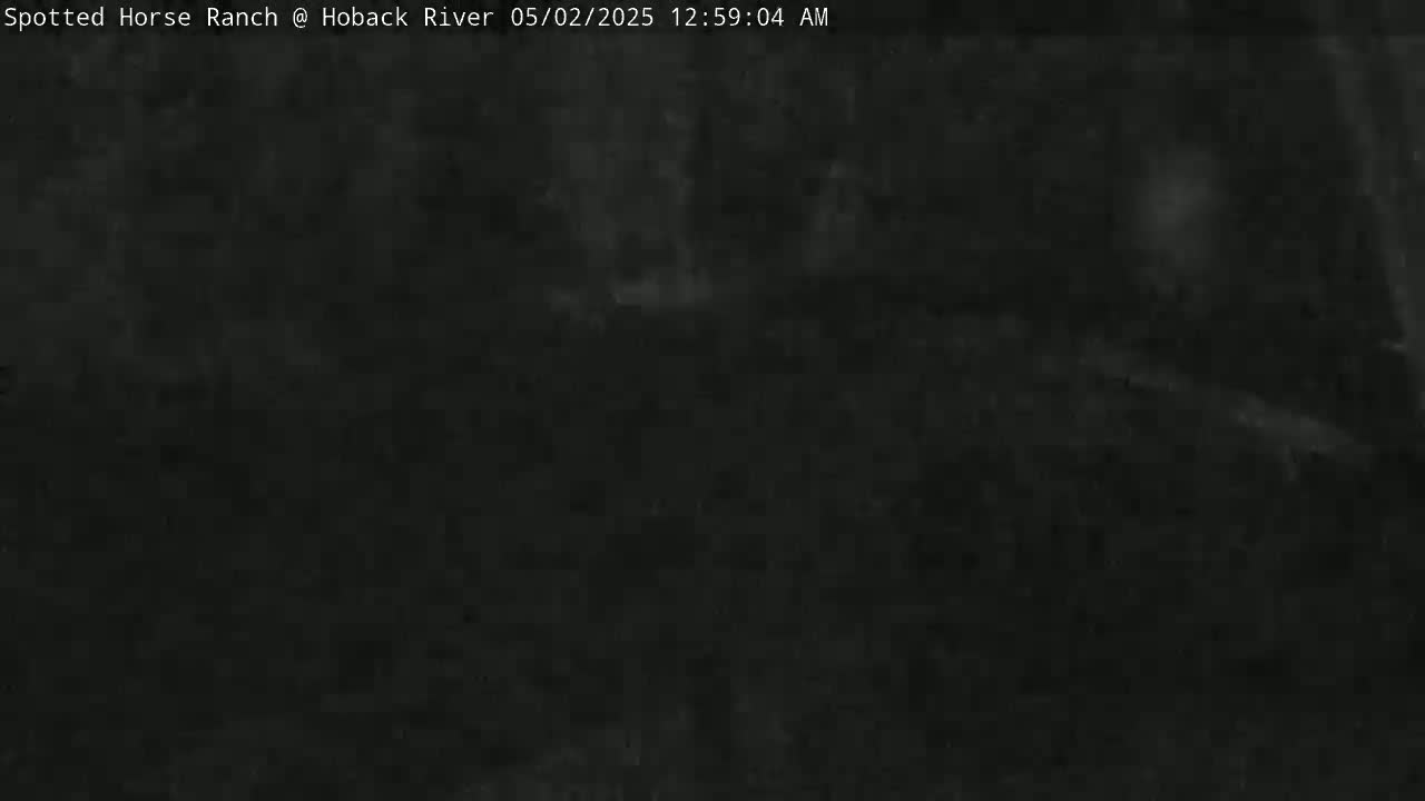 A dark, nighttime outdoor scene shows a blurry, indistinct landscape.
