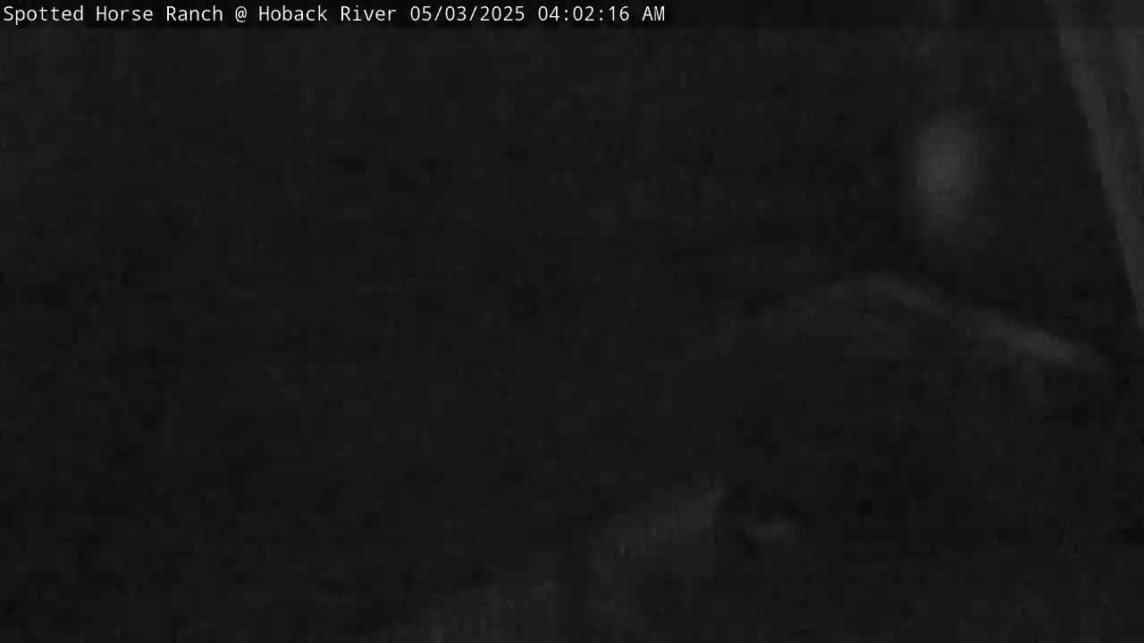 A very dark, nighttime image shows an indistinct, blurry shape in the center.