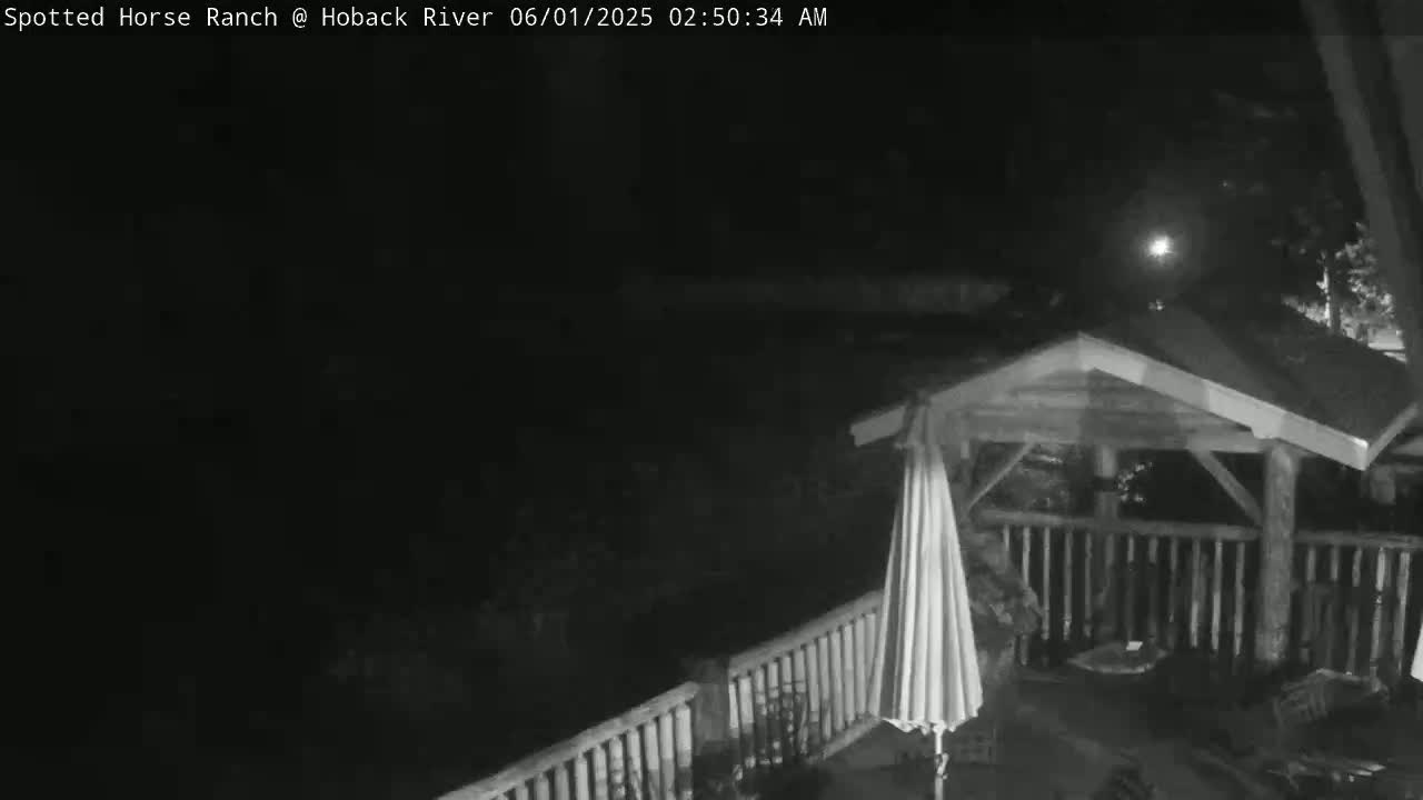 A nighttime, low-light grayscale image shows a wooden gazebo with a patio umbrella on a deck overlooking a dark, wooded area.