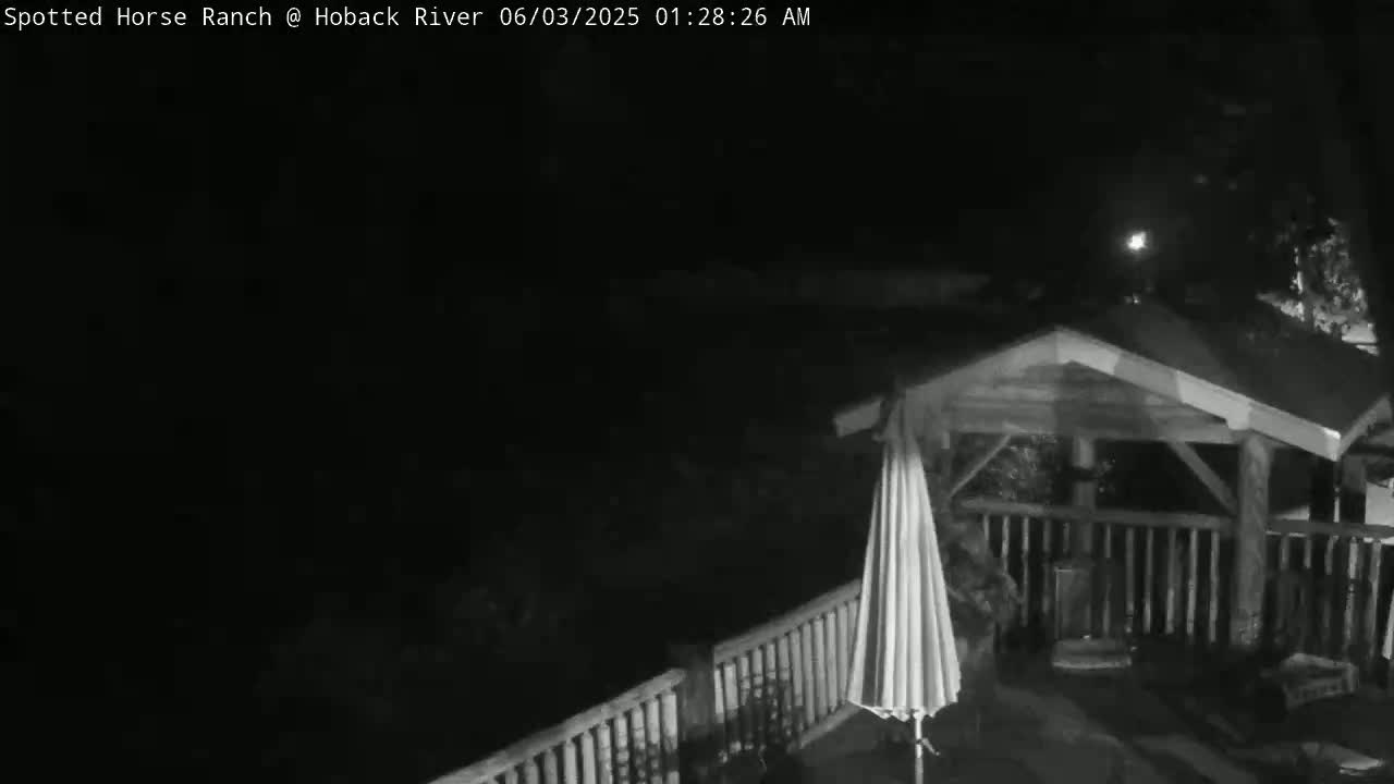 A nighttime, black and white image shows a wooden gazebo with a patio umbrella on a deck, under a dark sky.