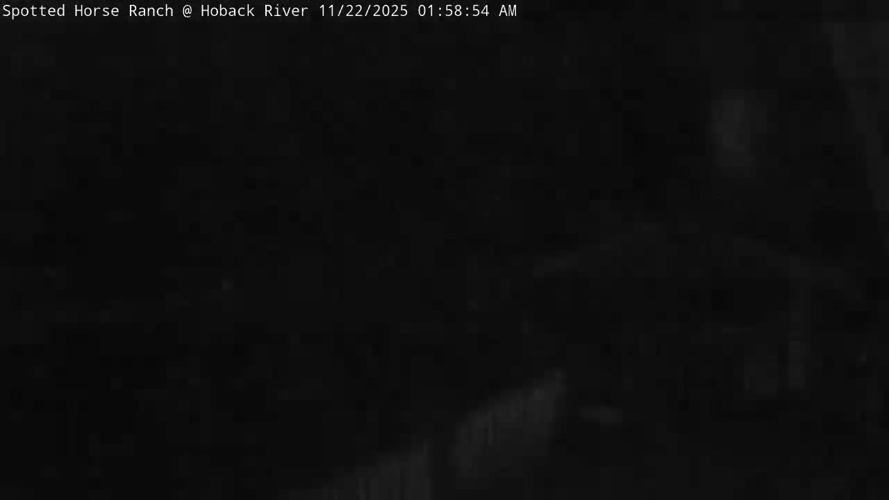 The image shows an extremely dark, almost entirely black outdoor scene, with negligible visibility due to nighttime conditions.