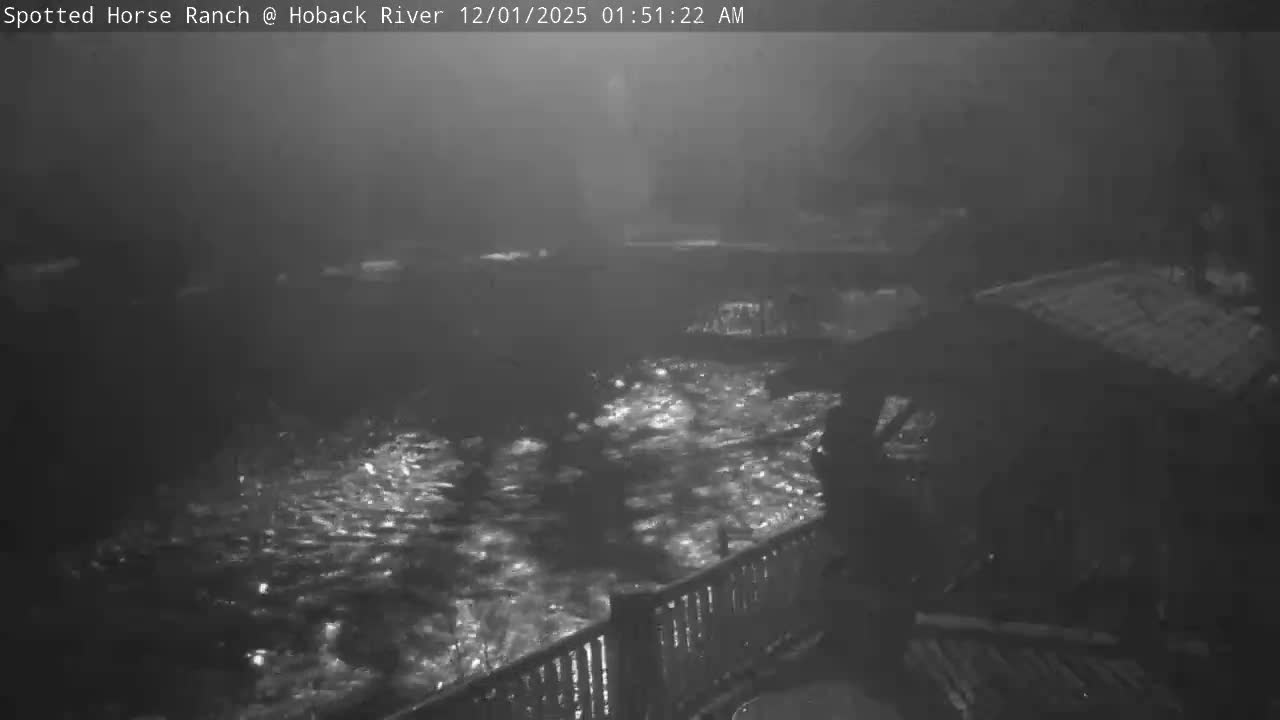 A dark, low-visibility nighttime scene in grayscale shows a shimmering river or stream viewed from a structure with a railing, under hazy conditions.