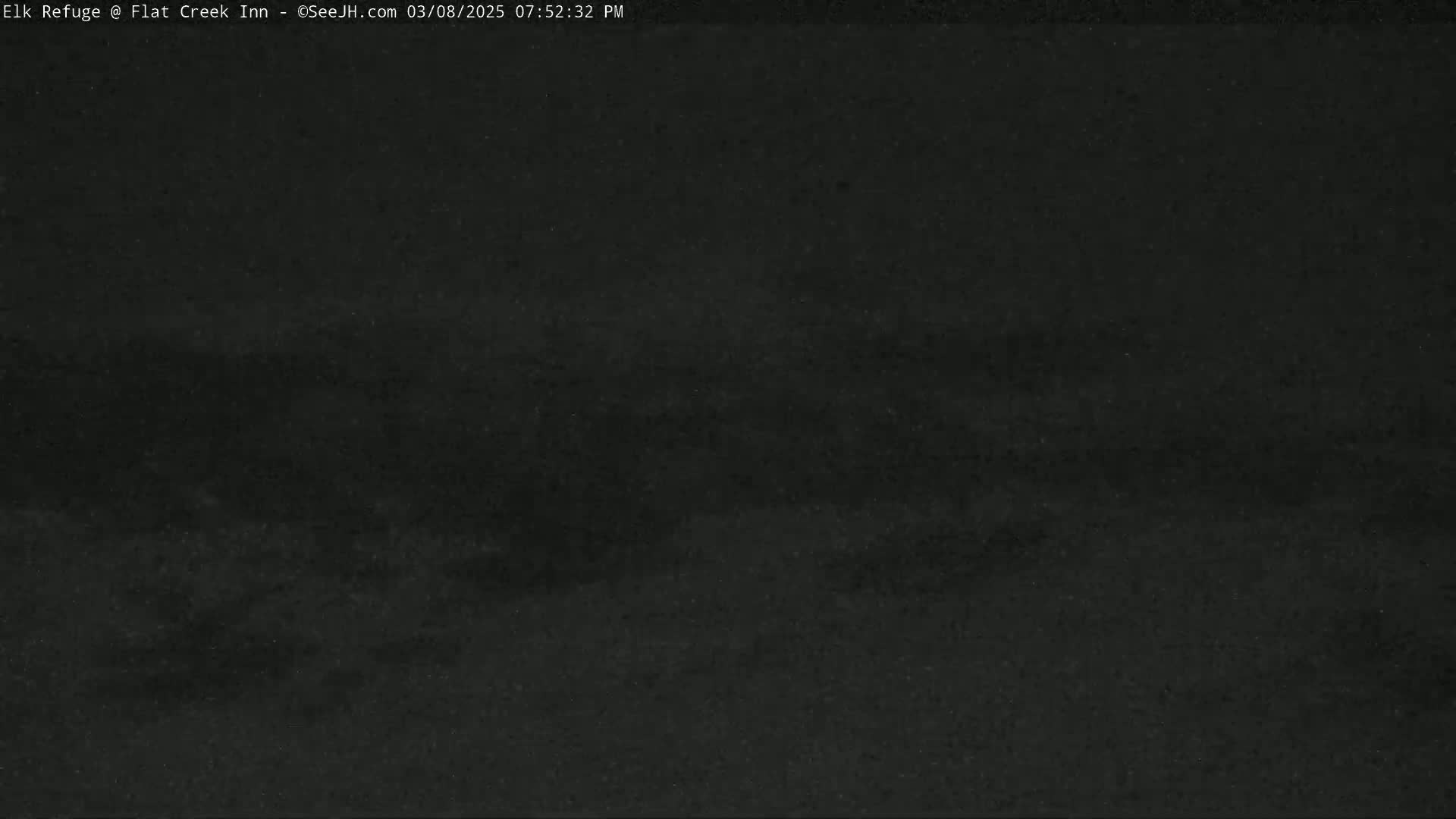 A dark, blurry image shows a mostly indistinct landscape at night.