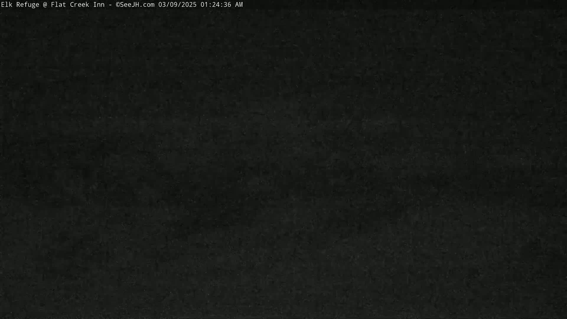 The image shows a solid dark gray or black surface.