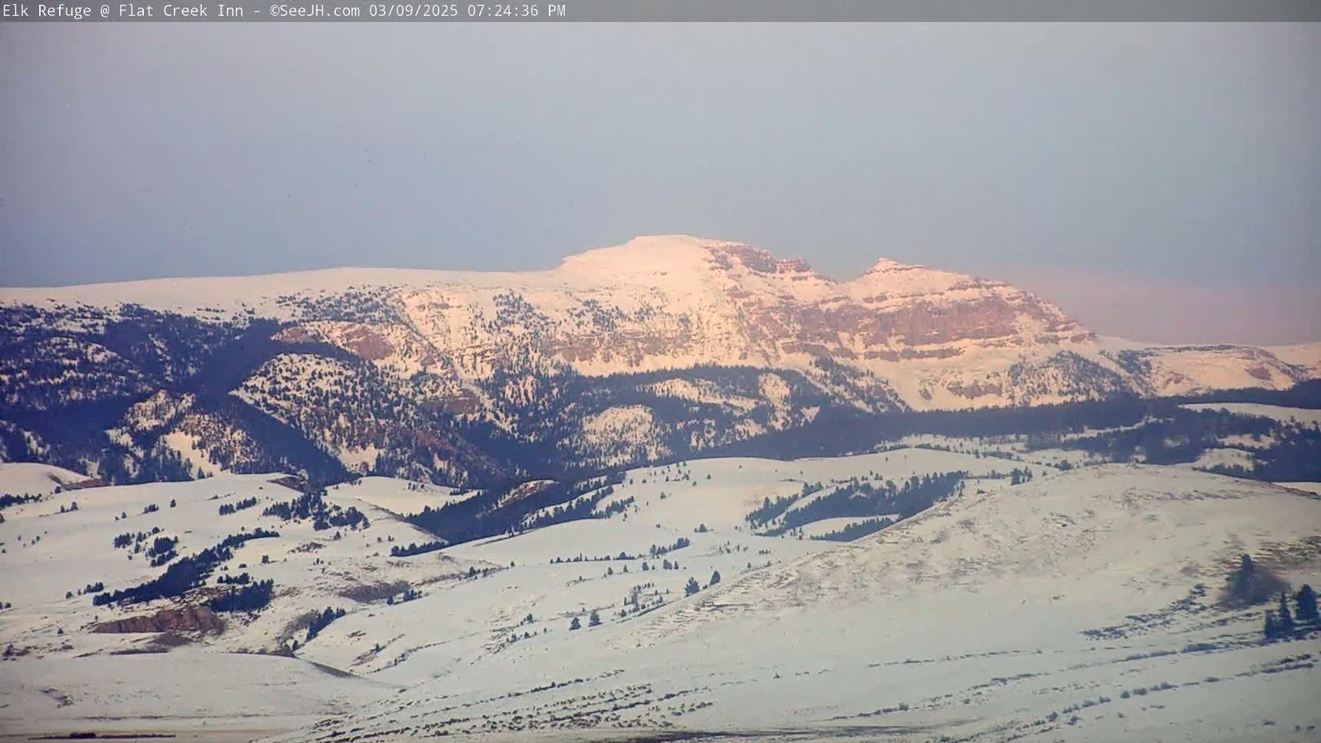 A snow-covered mountain range is visible under a pale, clear sky.