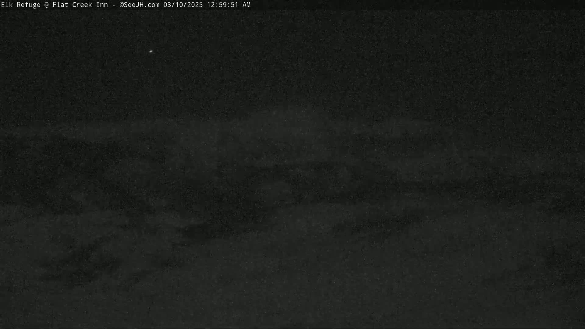A dark, grainy image shows a nighttime, possibly overcast, outdoor scene.