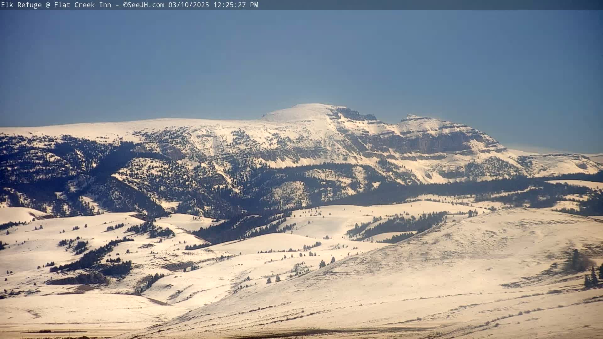 A snow-covered mountain range stretches across a clear, sunny sky.