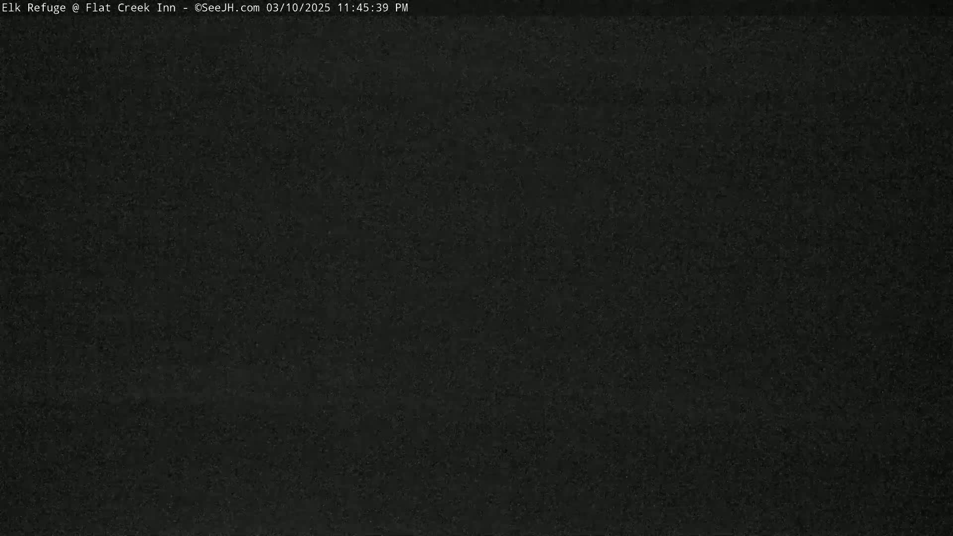The image shows a completely dark, grainy screen.
