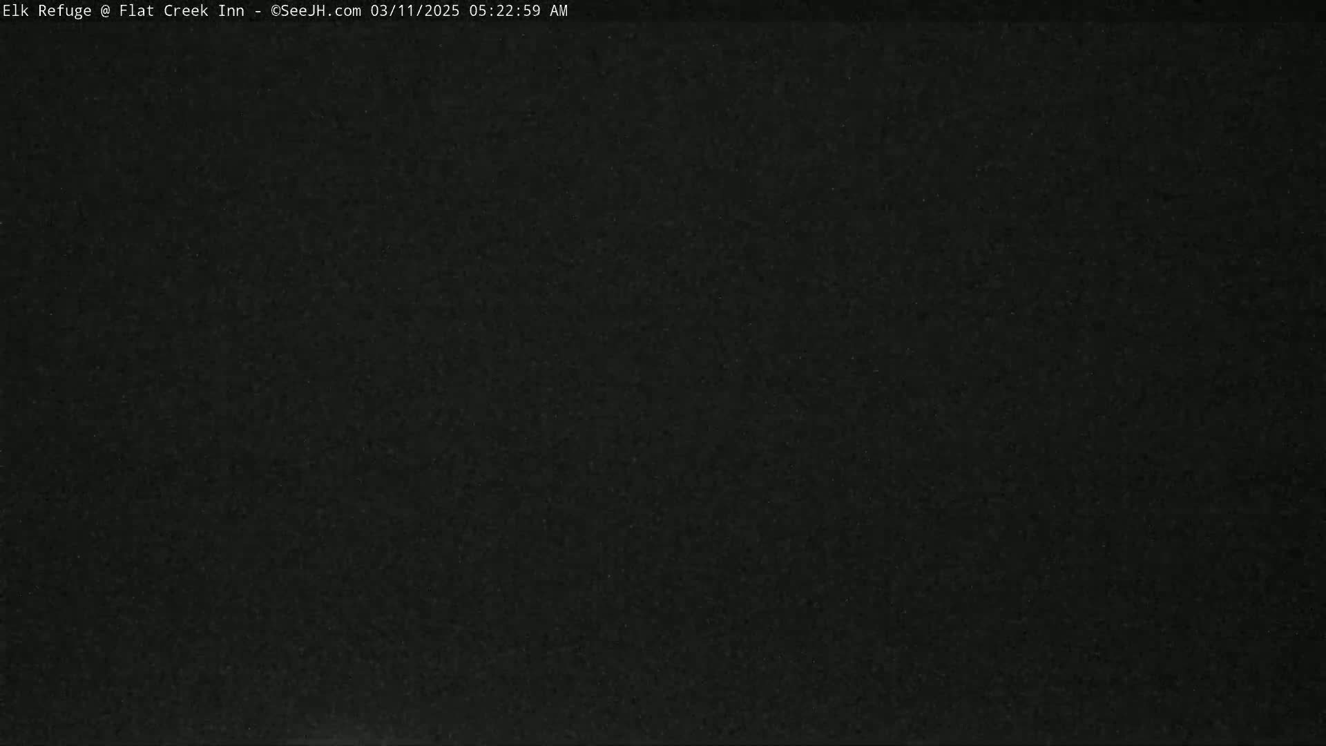The image shows a completely dark, grainy view.