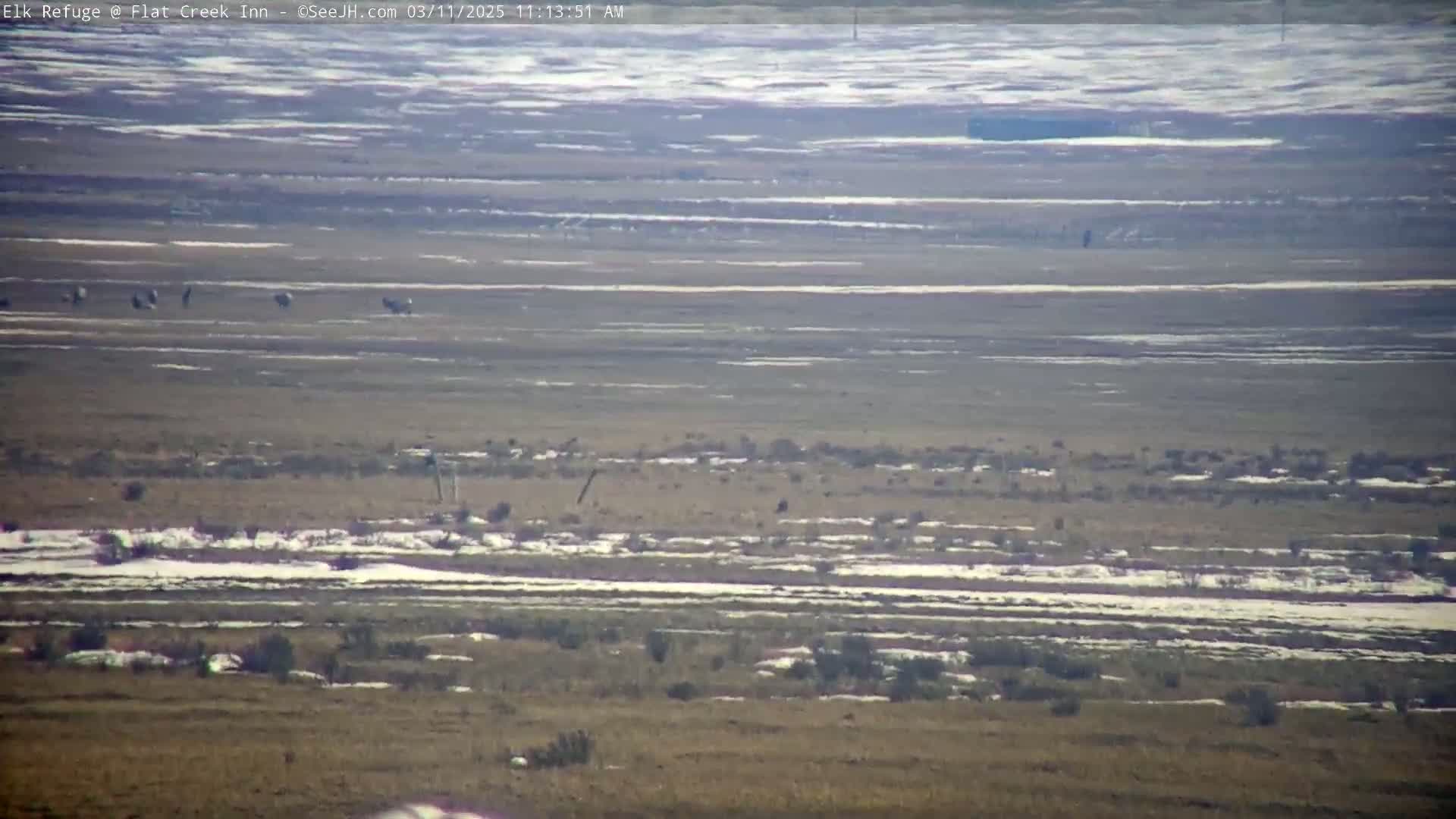 A wide, flat, snow-dusted landscape with sparse vegetation and a few dark birds or animals is visible under a bright, mostly clear sky.