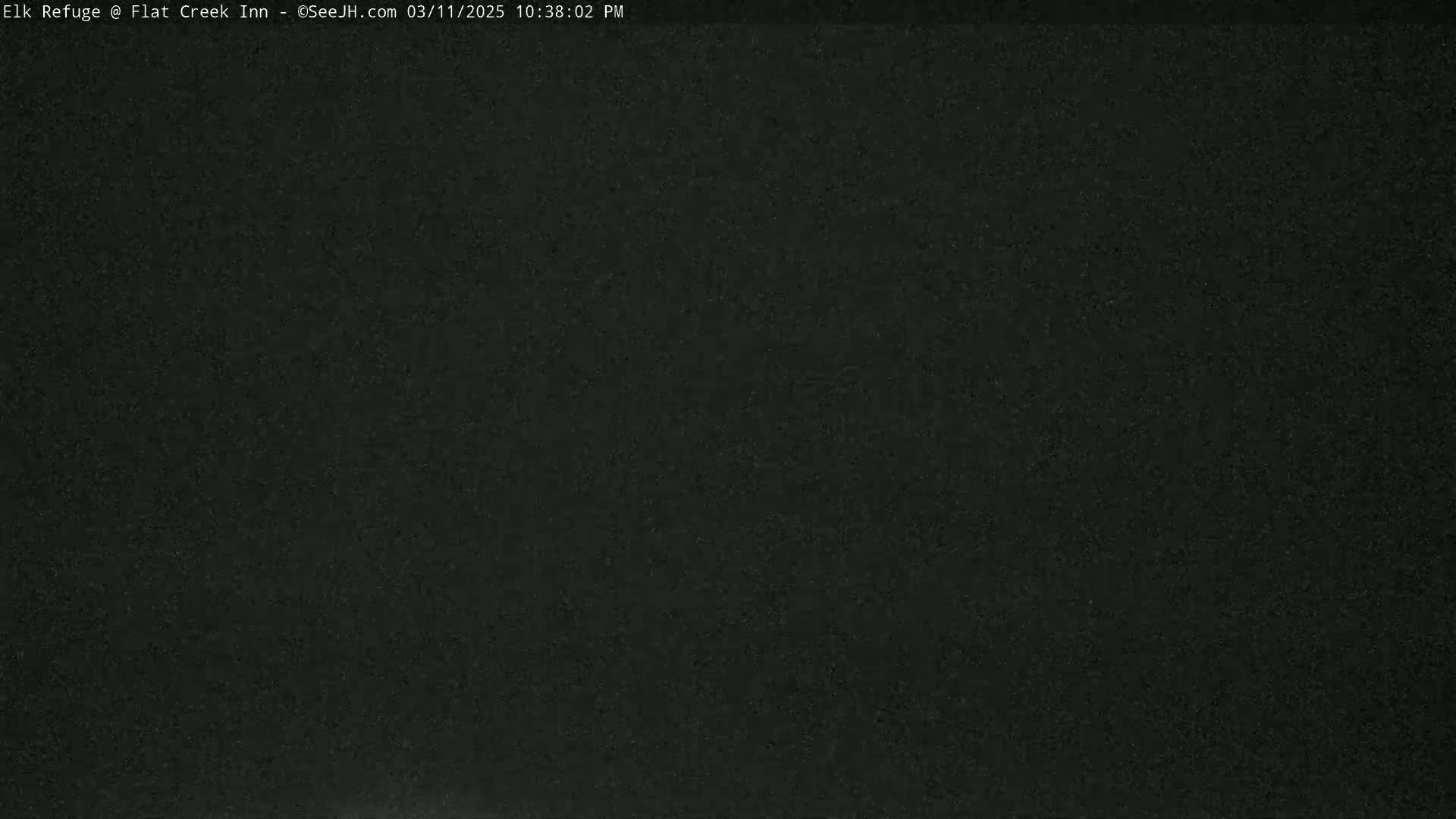 A completely dark image shows a uniformly black surface with a slightly grainy texture.