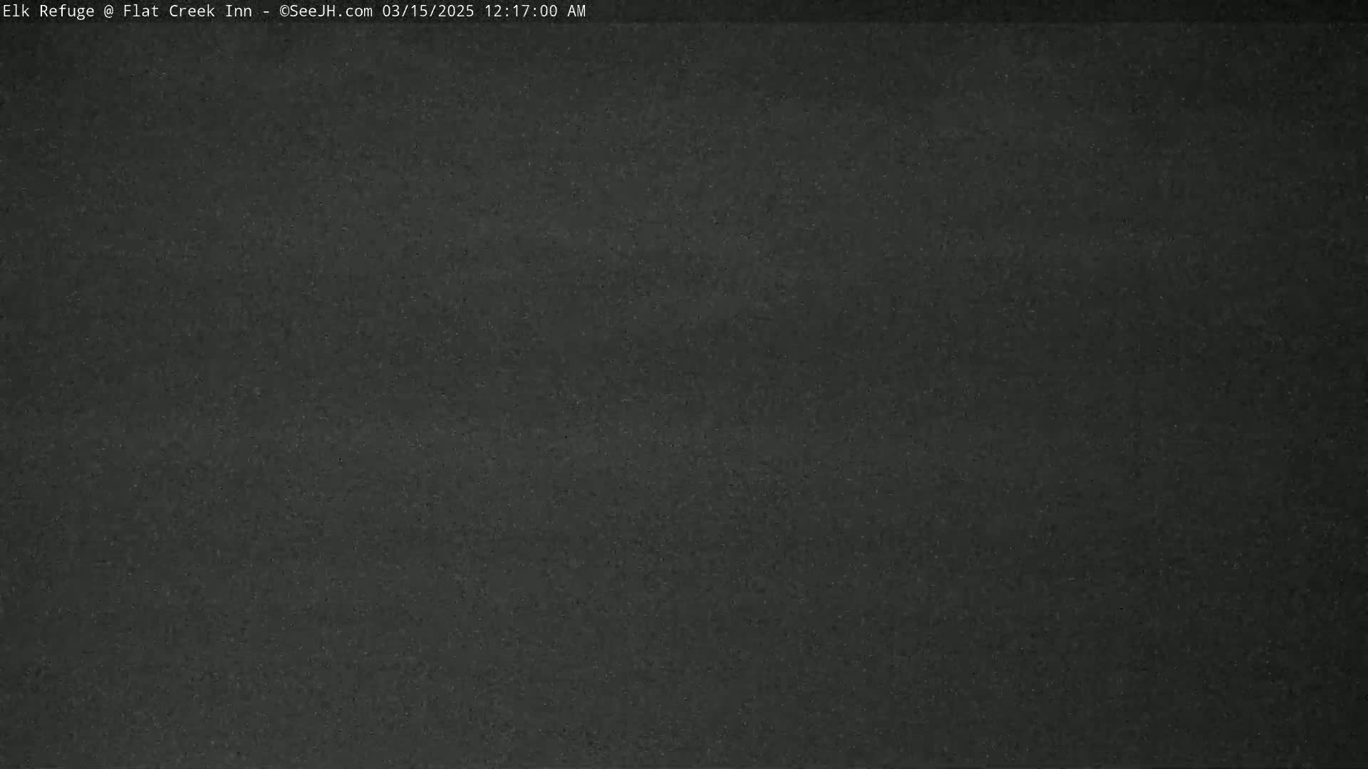 A dark gray, possibly nighttime image of a uniformly textured surface.