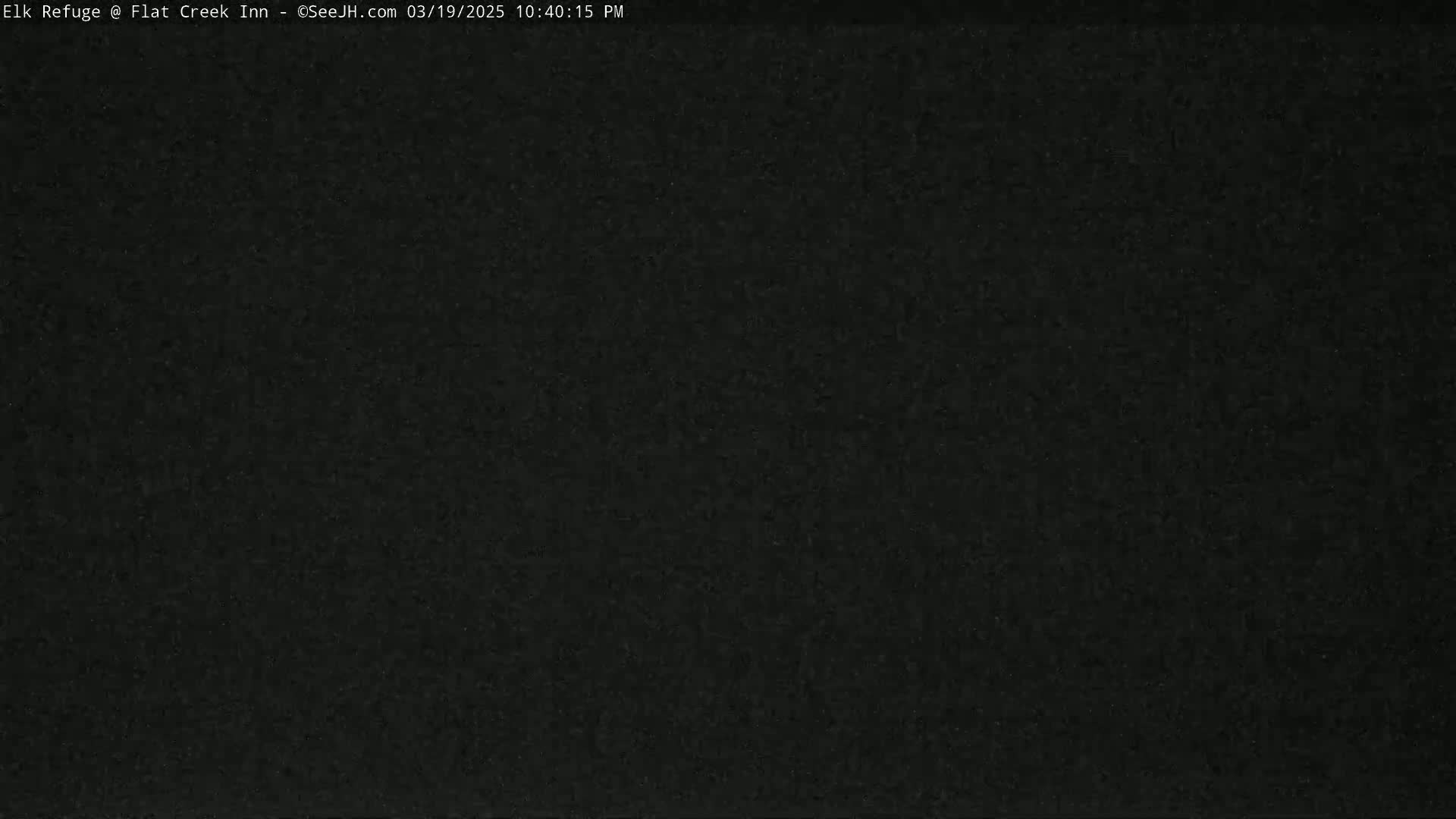 The image is a solid, dark-gray/black field with a slightly grainy texture.