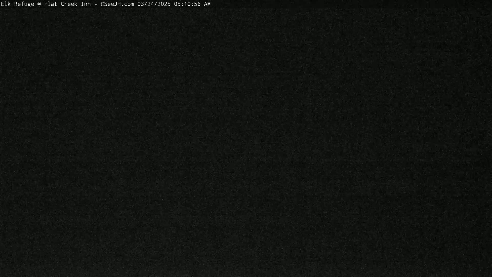 The image shows a completely dark, grainy screen.
