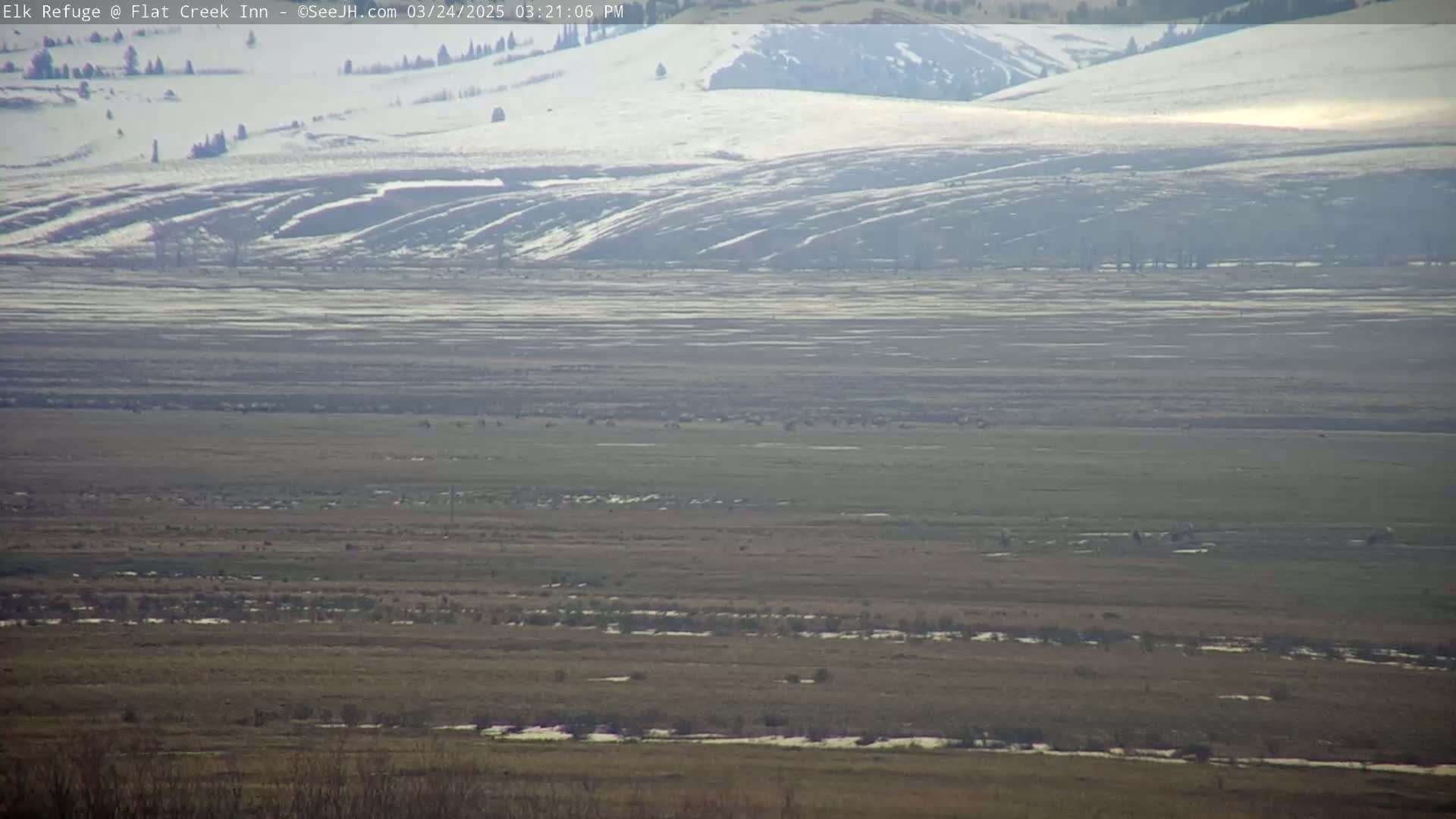 A large, flat, snow-dusted landscape stretches out under a mostly clear sky, with a herd of animals visible in the middle distance.