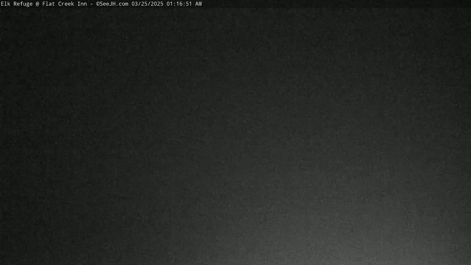 The image shows a dark, grainy, possibly nighttime scene.