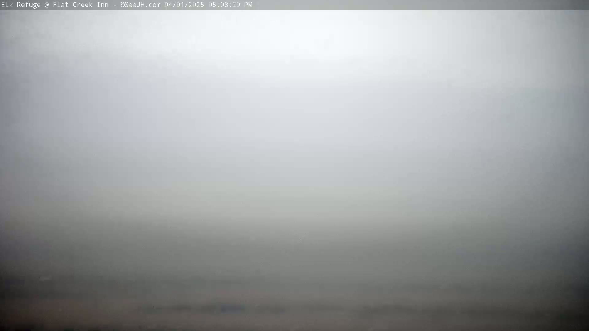 A very thick fog obscures the view of a flat landscape.