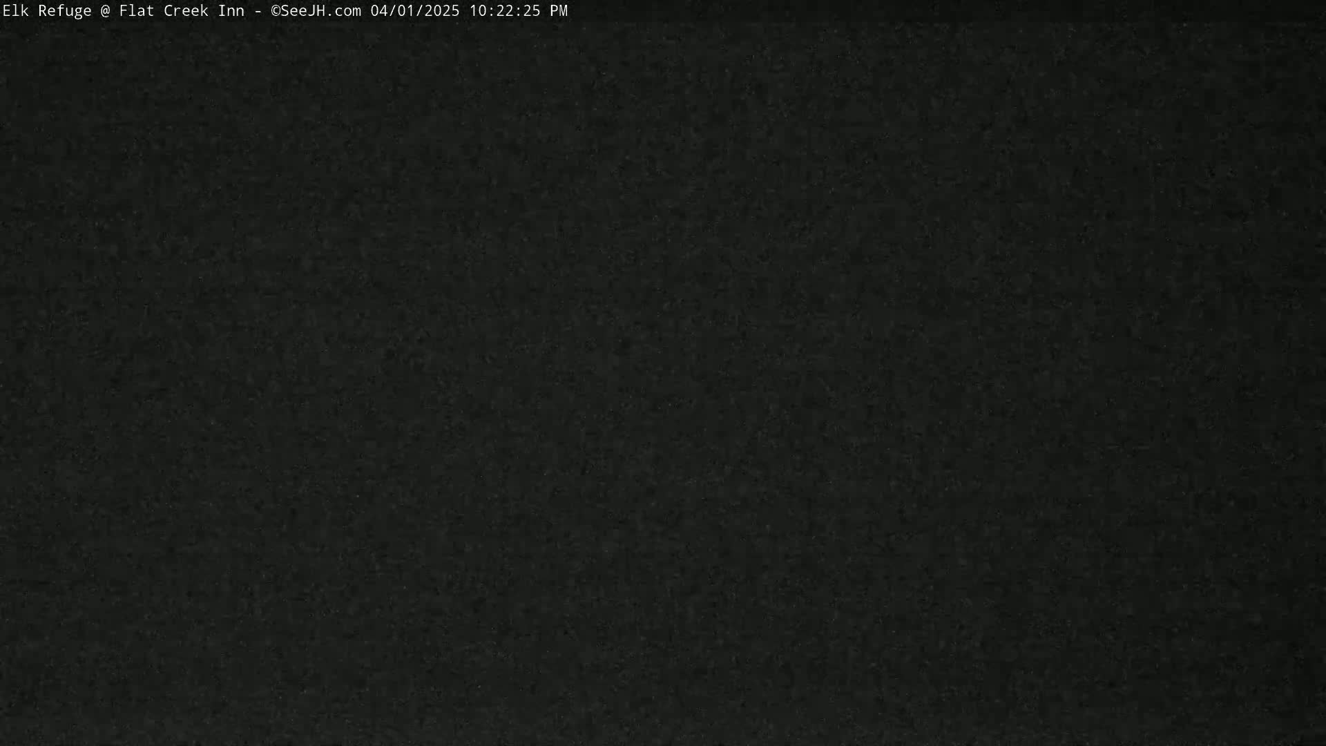 A uniformly dark image shows a solid, textured black surface.