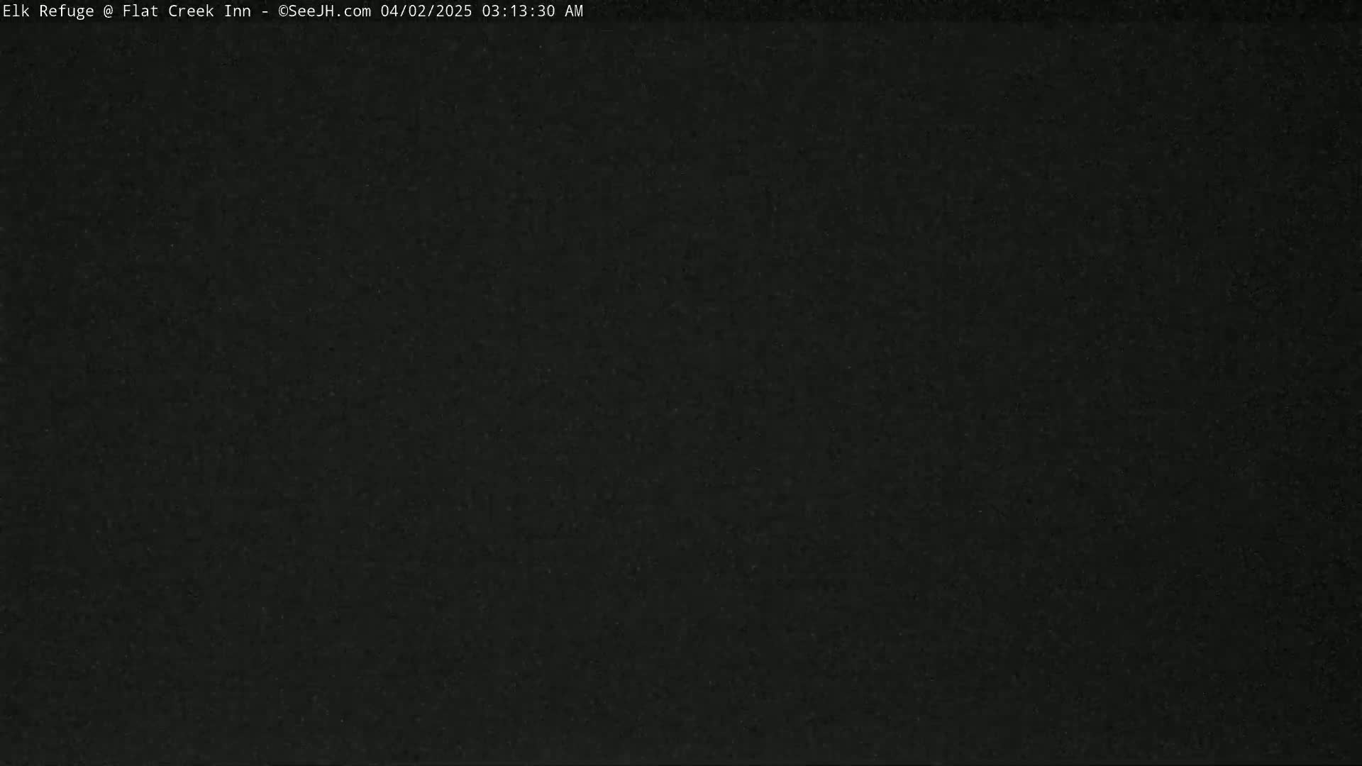 The image shows a solid black screen.
