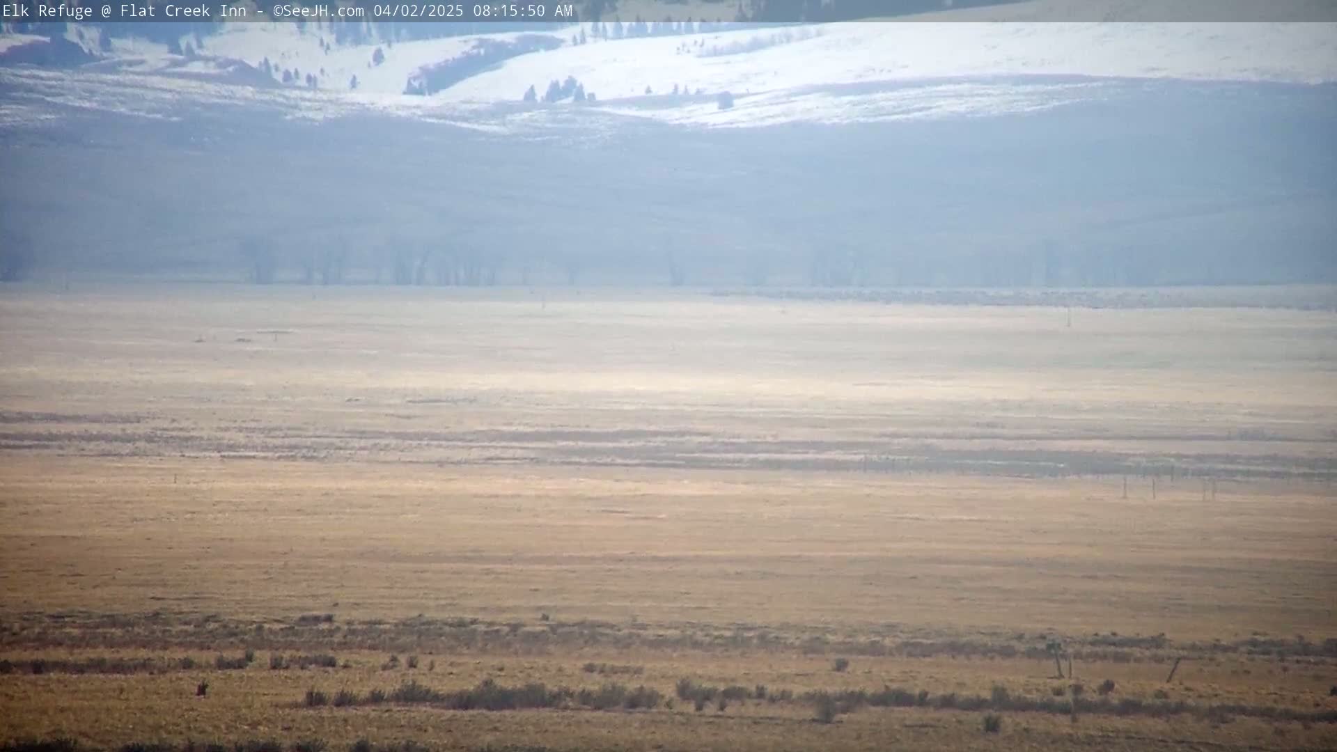 A hazy, expansive plain of tan and brown grasses stretches to distant, snow-dusted hills under a clear, bright sky.