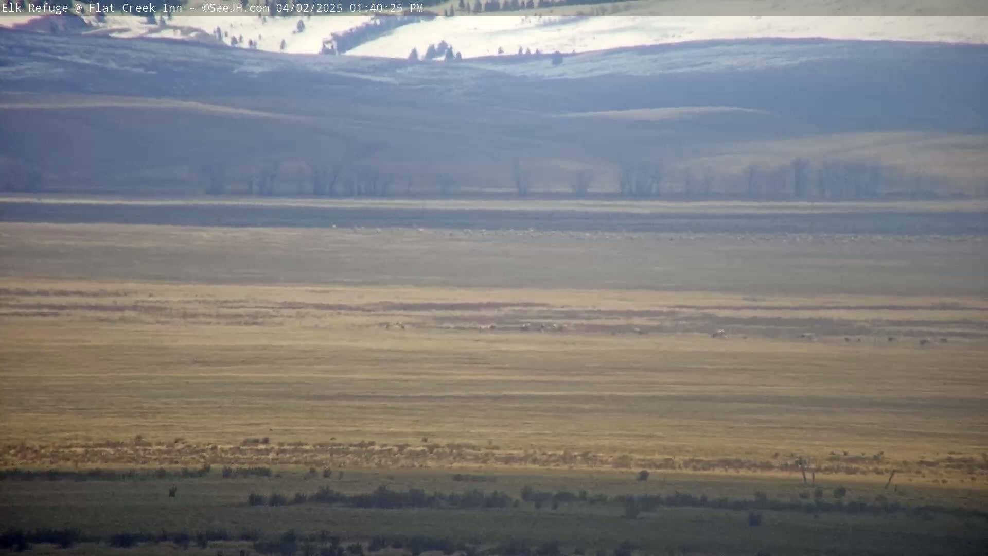 A vast, flat expanse of dry, tan grassland stretches to distant, hazy hills under a clear, sunny sky.