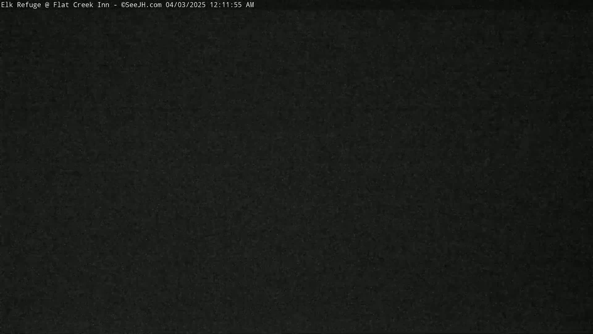 The image shows a uniformly dark, grainy surface.