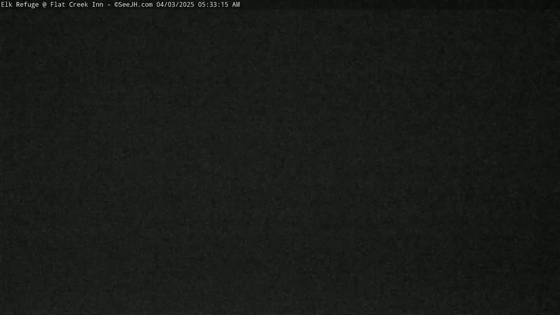 A dark, grainy image shows an indistinguishable scene at night.