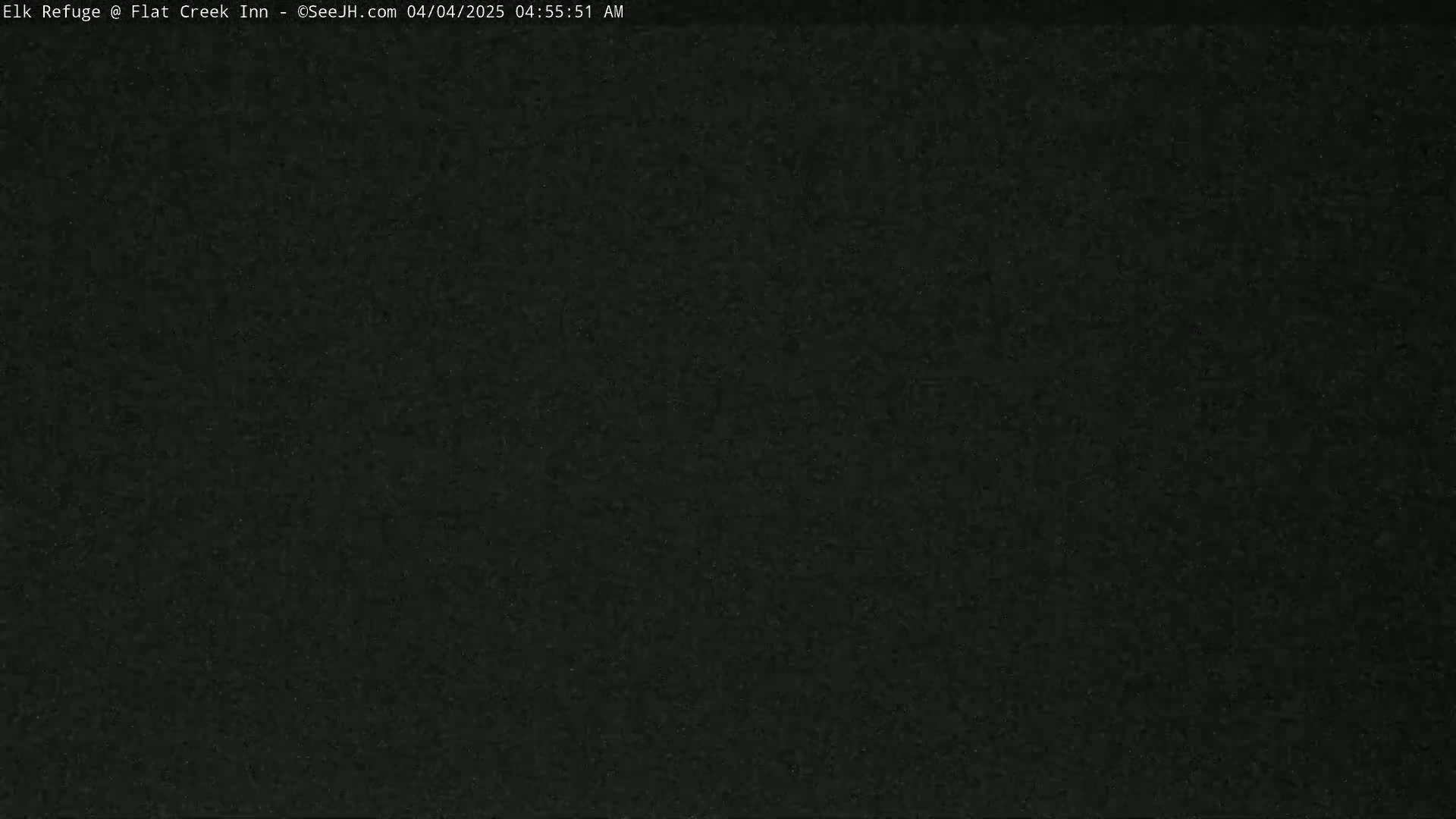 The image shows a solid dark gray or black screen.