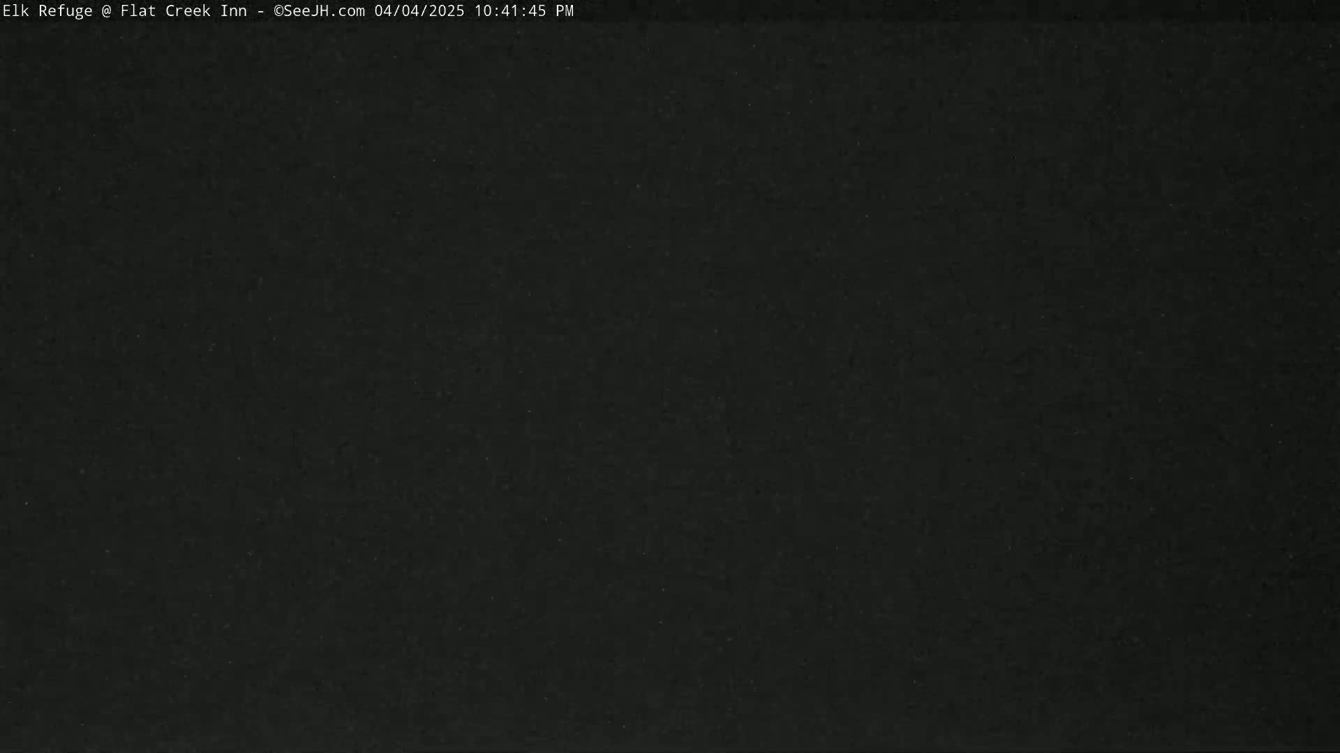 A completely dark image is shown.