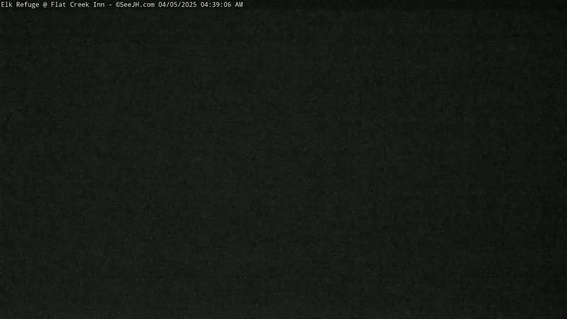 The image shows a uniformly dark gray or black surface.