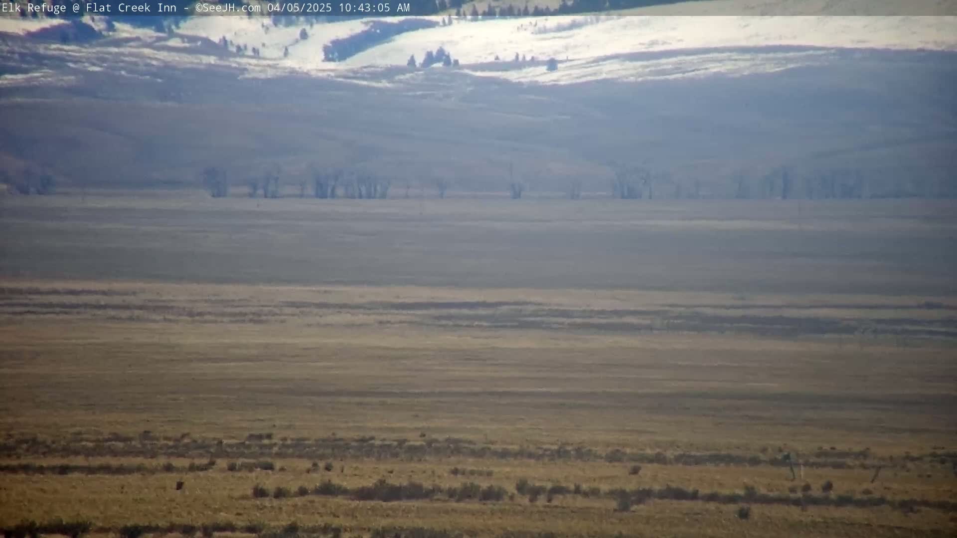 A hazy, expansive, flat landscape of tan and brown grasslands stretches to distant, snow-dusted hills under a bright, clear sky.