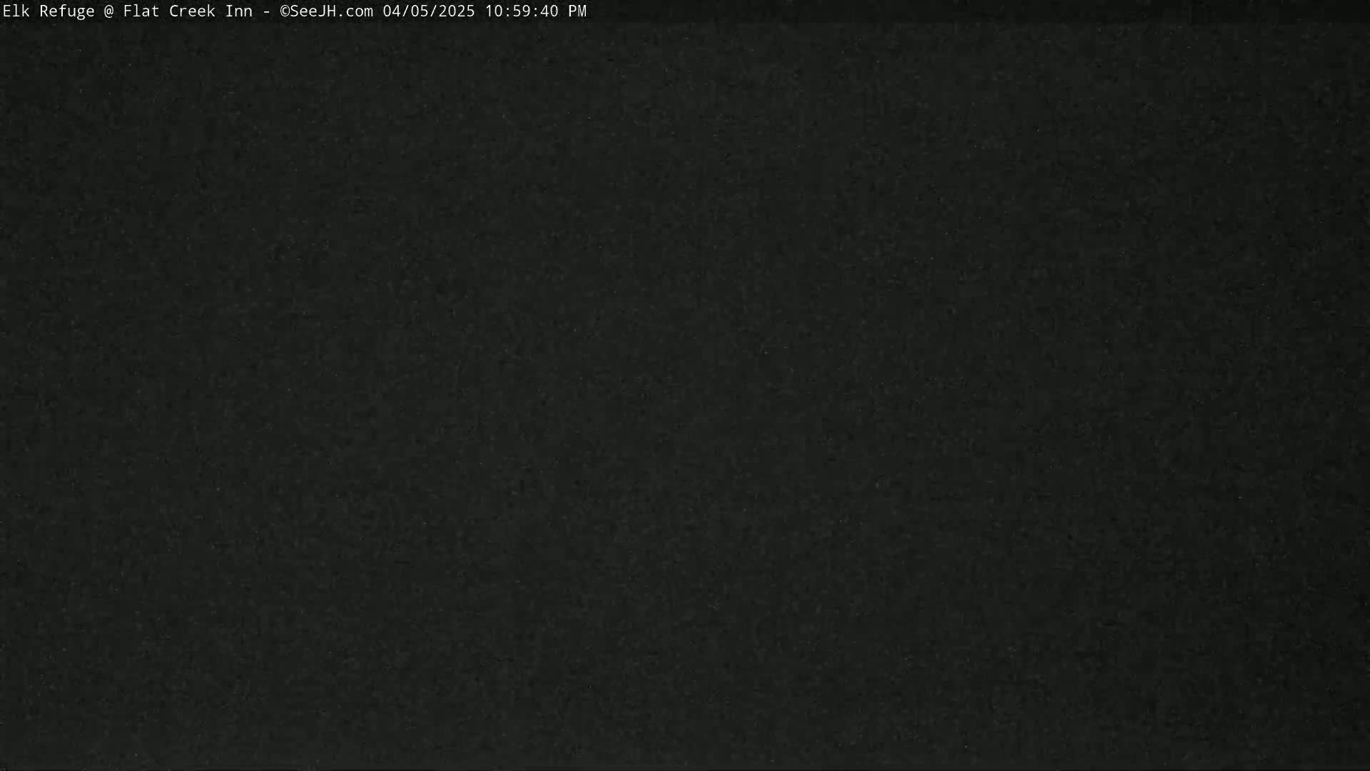 The image shows a completely dark, grainy, and featureless scene.