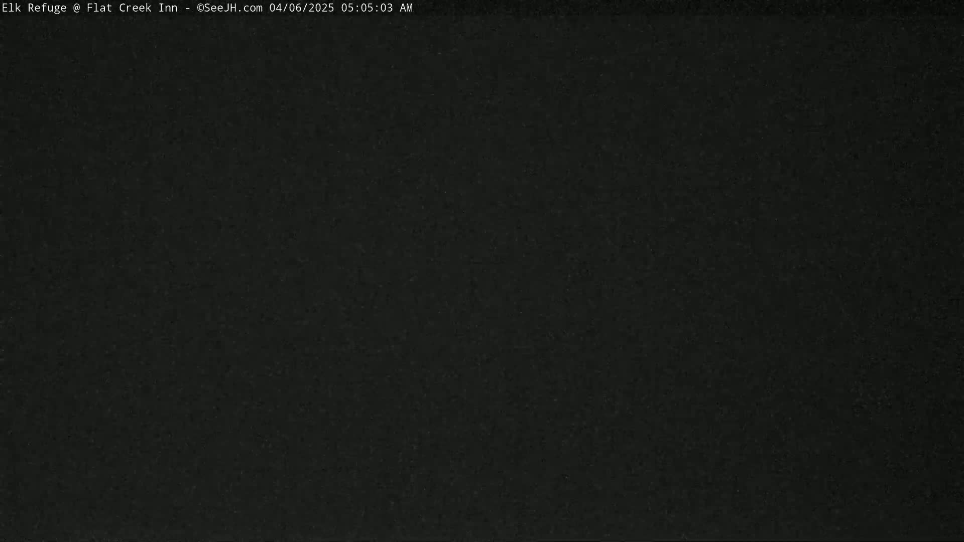 The image shows a completely dark, possibly nighttime scene.