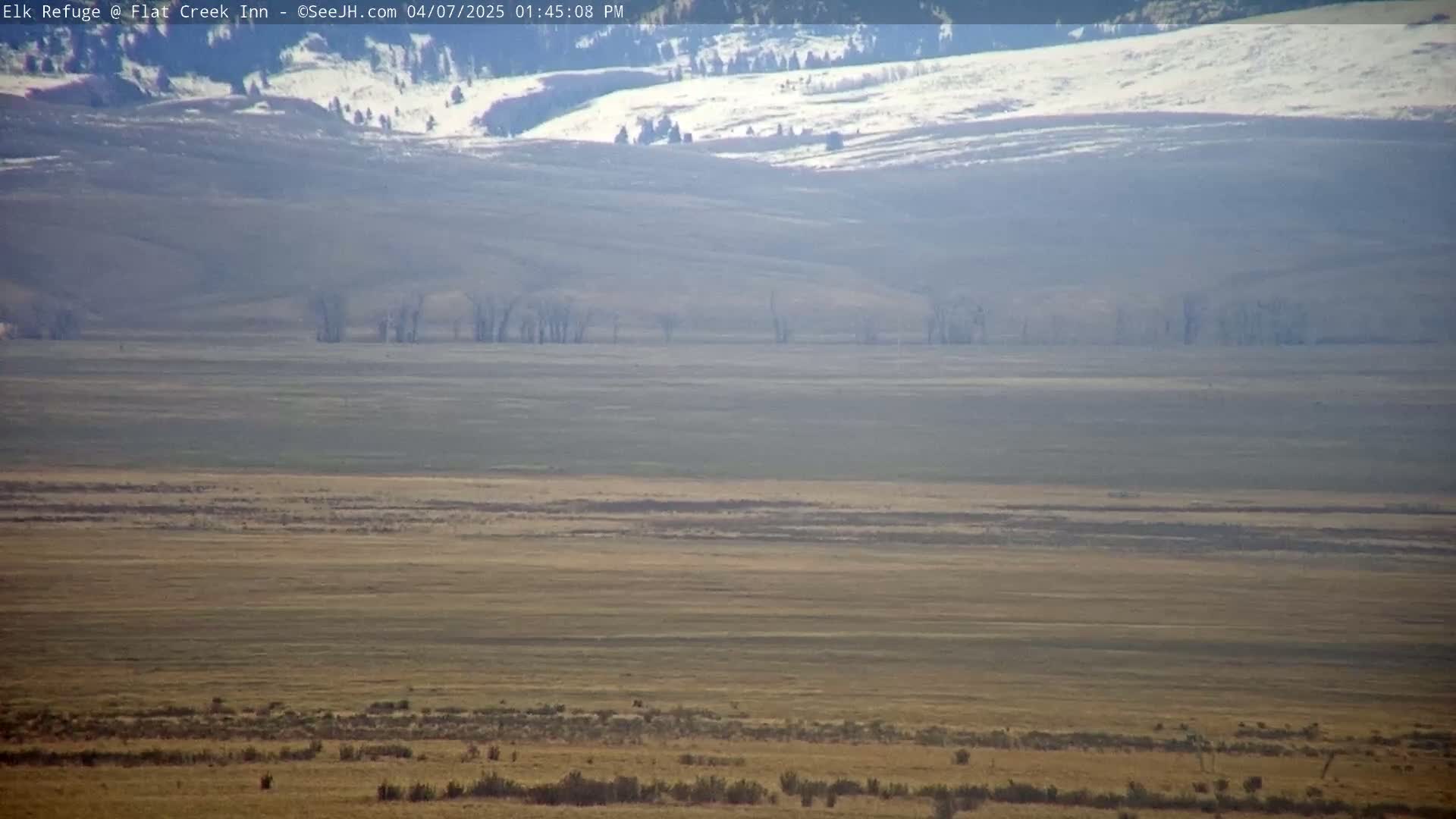 A hazy, expansive flat landscape of tan grasses and scrub brush stretches to distant, snow-dusted hills under a clear sky.