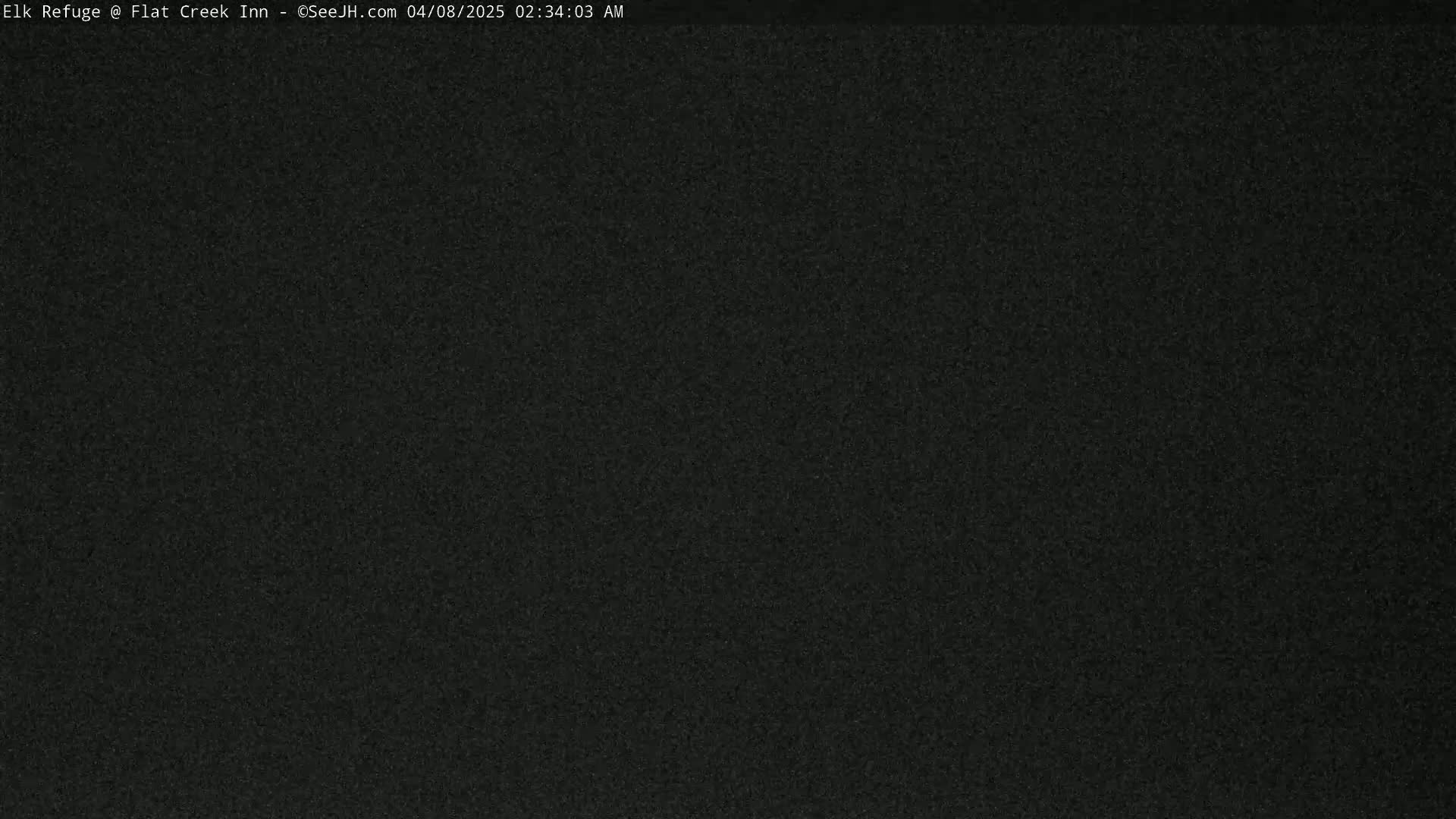 The image shows a uniformly dark gray or black screen, likely indicating a nighttime or low-light condition.
