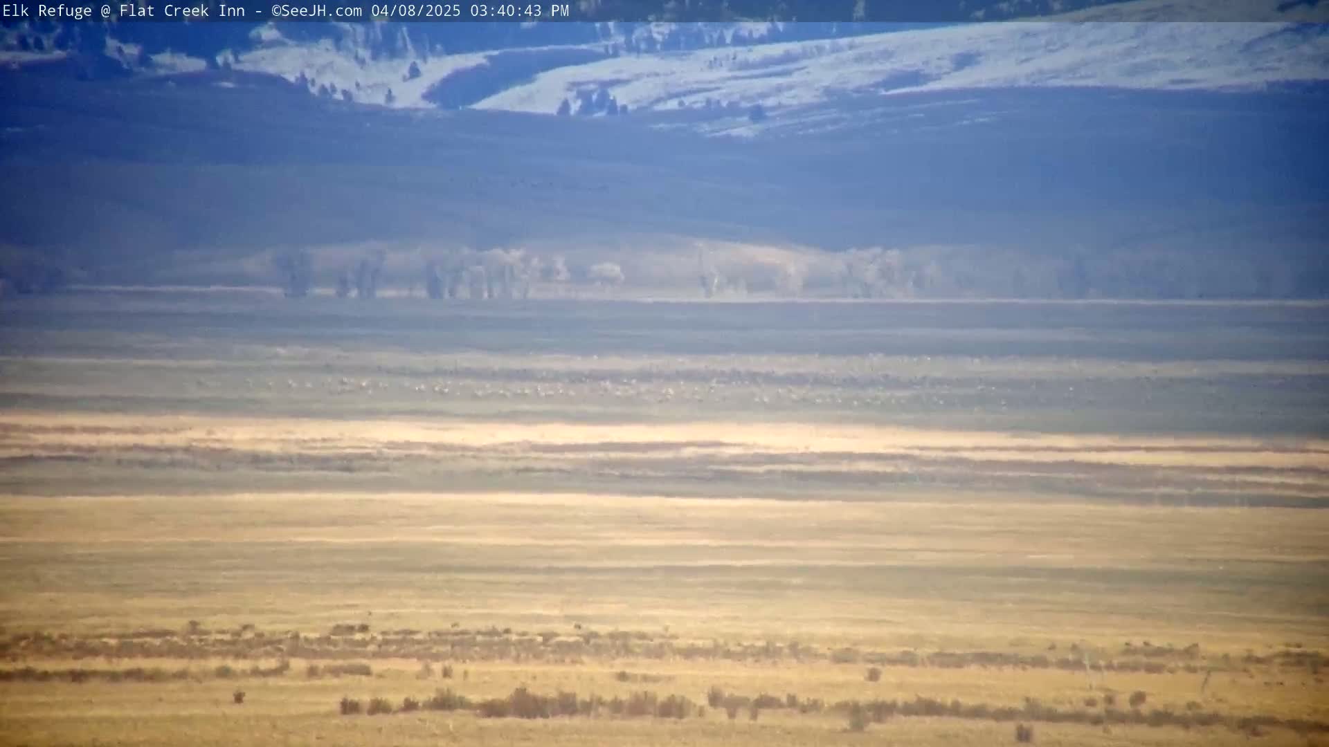 A wide, flat expanse of tan and brown land stretches to distant, hazy blue mountains under a clear sky.