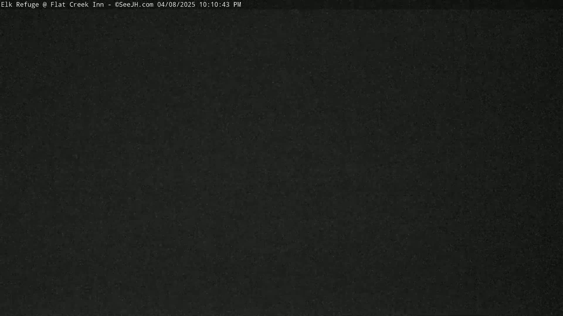 A dark, grainy image shows a completely black screen.
