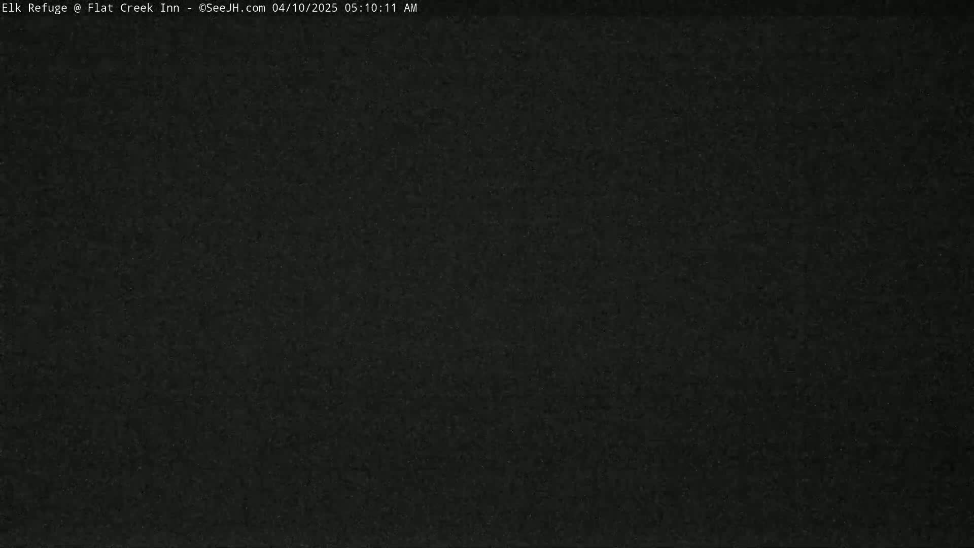 A dark, grainy image shows a uniformly black surface.