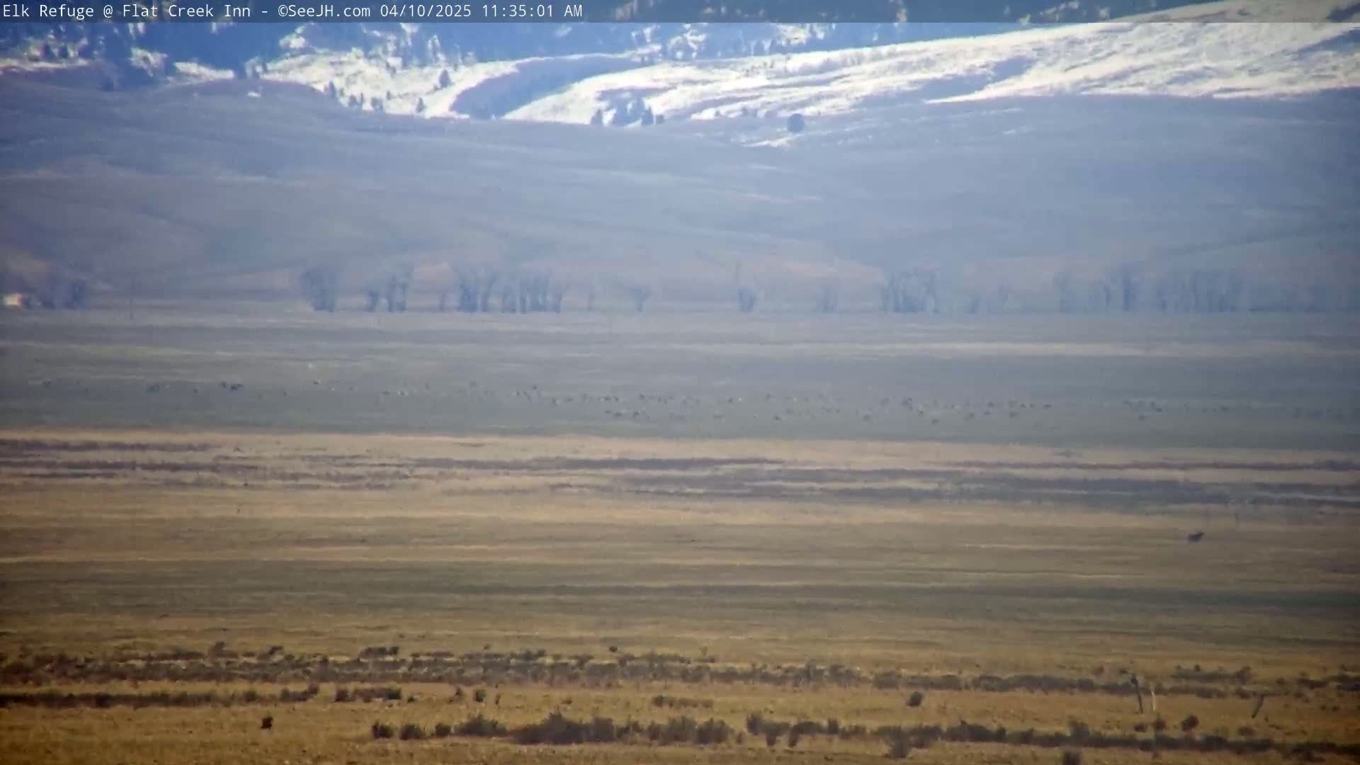 A hazy, flat landscape stretches to snow-dusted hills in the distance under a clear sky.