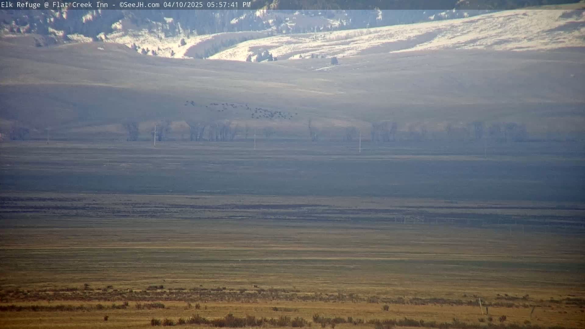 A hazy, expansive landscape reveals a distant, snow-dusted mountain range, a herd of animals on a flat plain, and scattered trees under a clear sky.