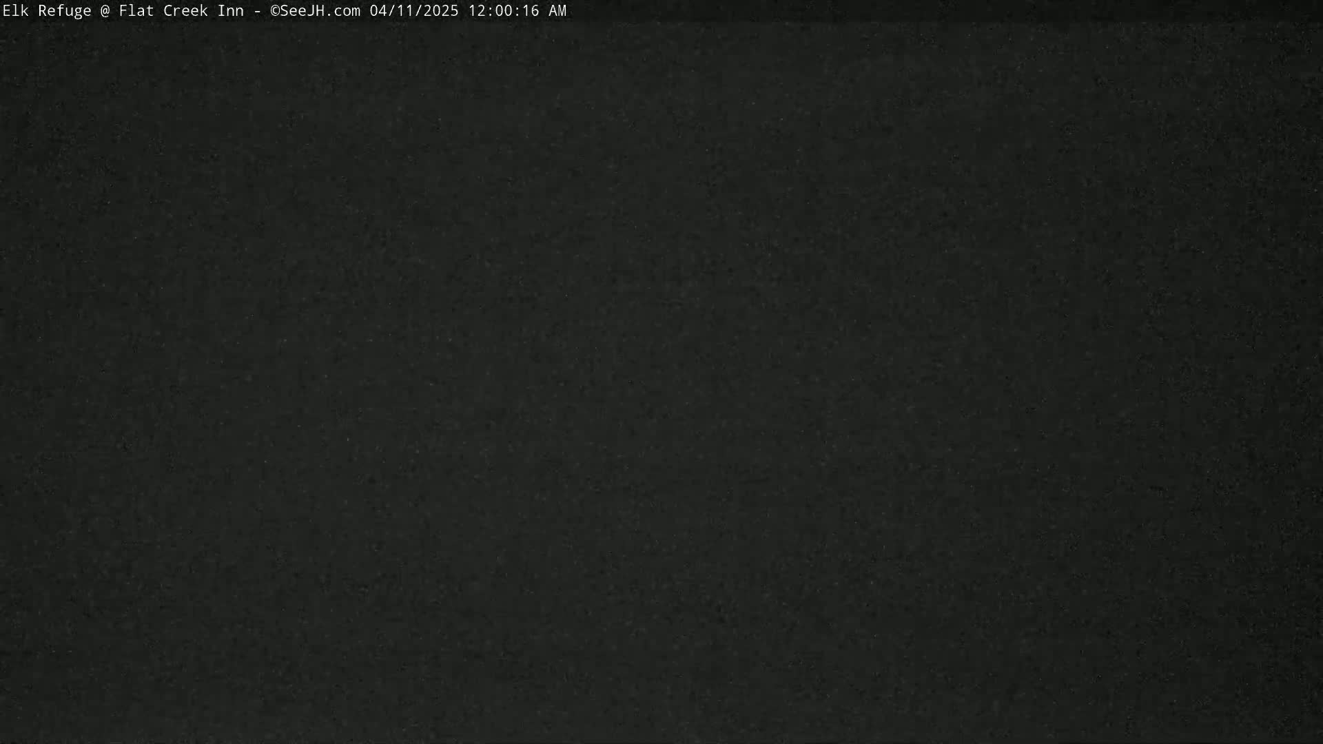 A dark, grainy image shows a completely black surface.