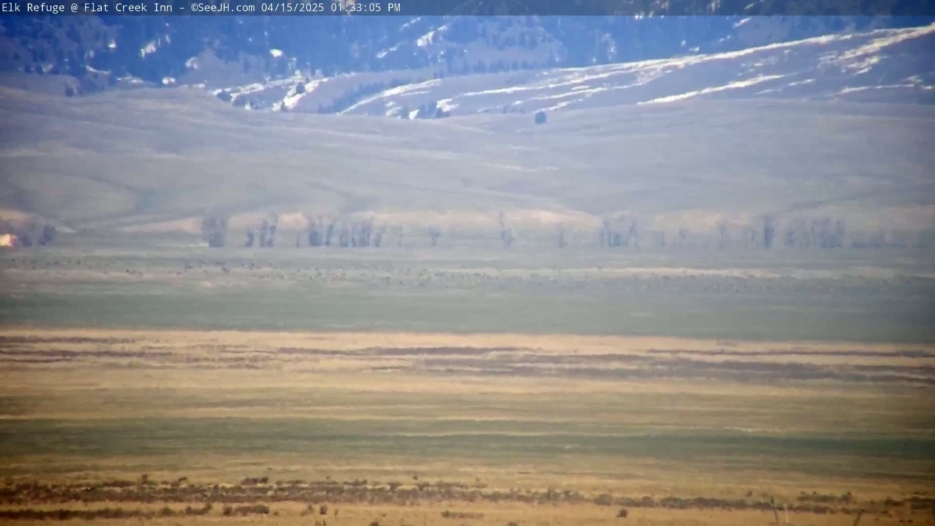 A vast, flat landscape under a hazy sky shows a large herd of animals in the mid-ground with plumes of dust or smoke rising near them.
