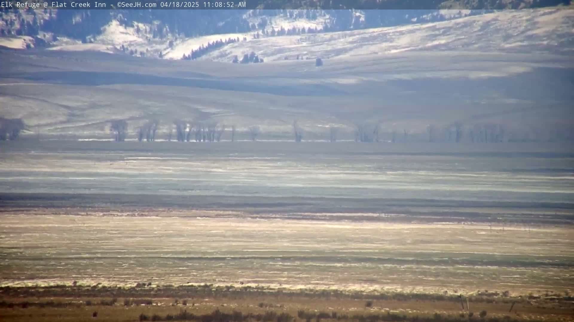 A flat, expansive landscape under a clear sky shows a line of leafless trees in the middle distance, with snow-dusted hills in the background.