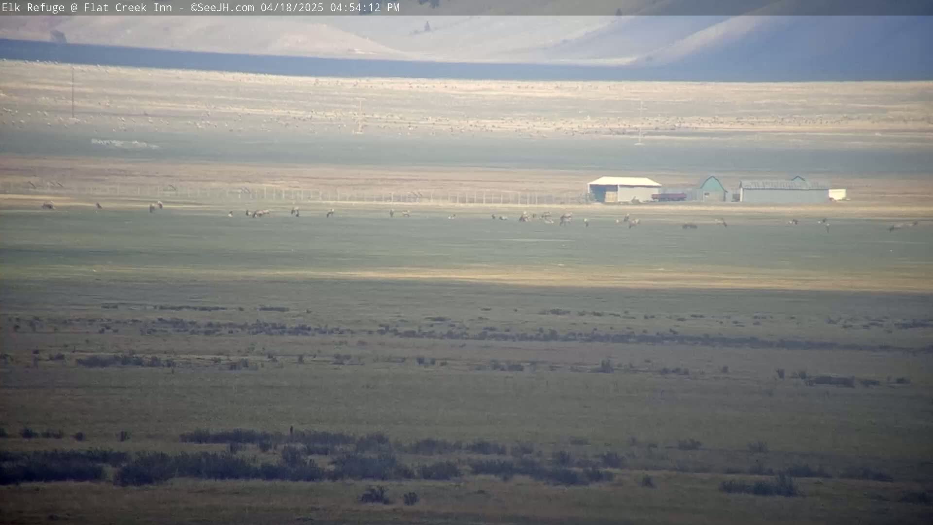 A wide, flat expanse of land with sparse vegetation, a few buildings in the mid-ground, and a herd of animals scattered across the field under a hazy sky.