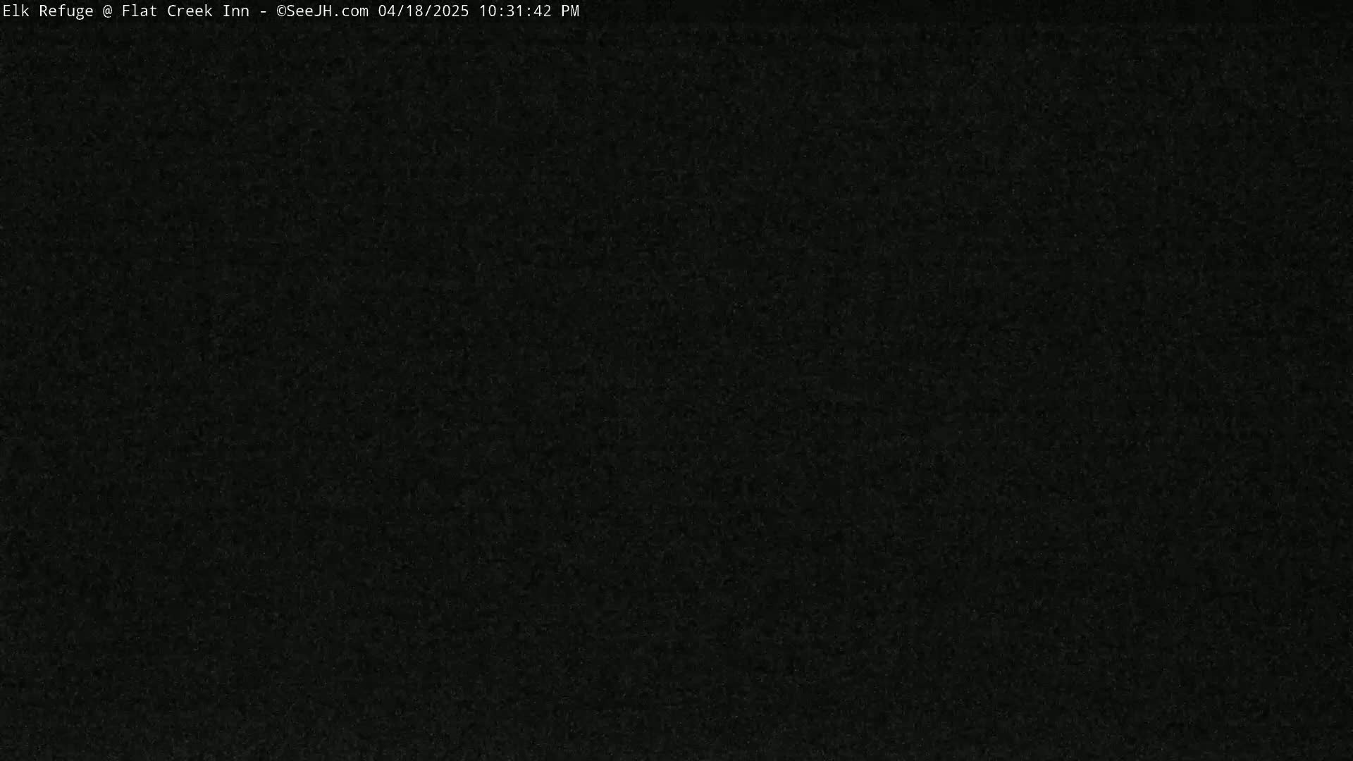 The image shows a completely dark, grainy screen.