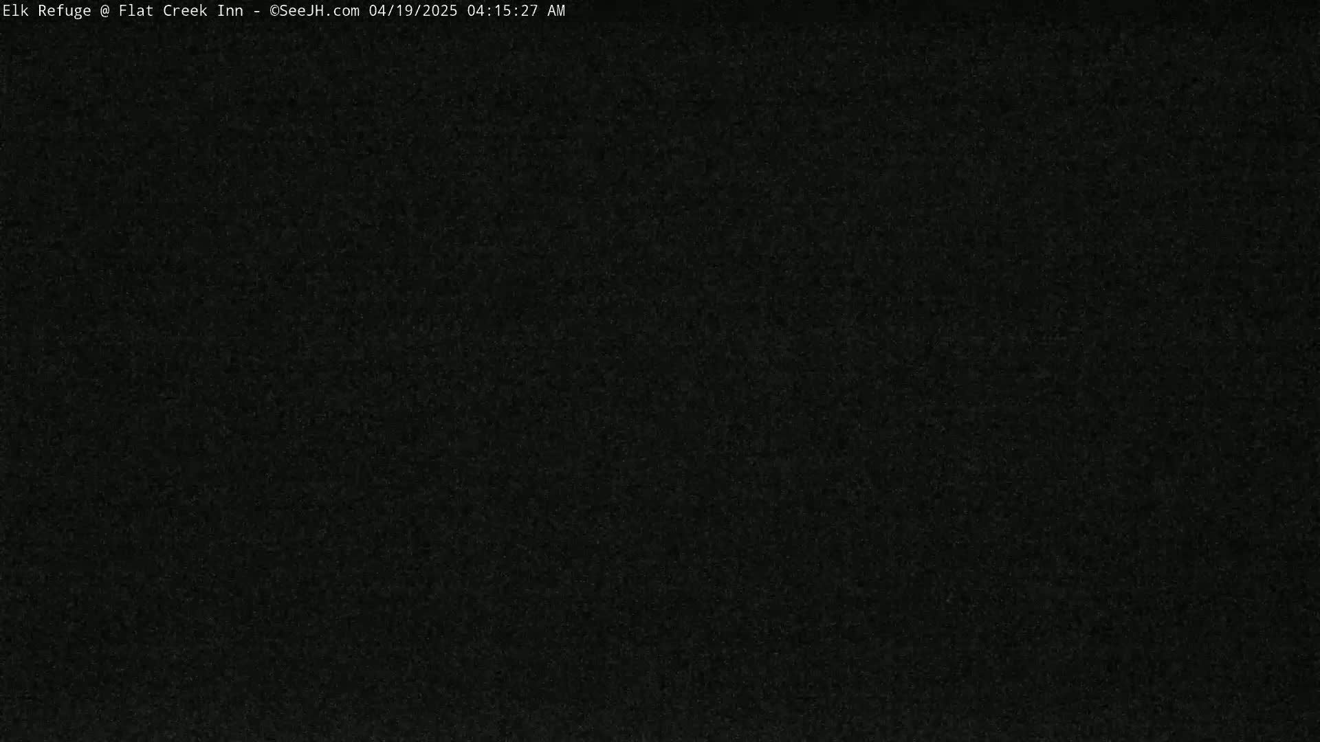The image shows a completely dark, grainy surface.